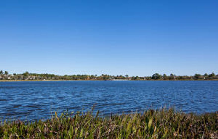 Fantastic Upgraded Kitchen Includes; Granite Countertops, Tumbled Marble Backsplash, Premium Appliances, Gas Cook Top, Separate Cooking Island, & Solid Wood Cabinetry. Spacious Family Room has a Huge Entertainment Wall & a Pocket Screened French Glass Door Which Leads to the Covered Lanai, Pool & Fenced-In Backyard. Formal Living Room has Extra High Hat Lighting and Large Panoramic Windows. Separate Dining Room is Elegantly Done In Bright Sophisticated Tones and Has French Glass Doors that Lead to a Separate Covered Patio/Lanai, Perfect for Entertaining. Separate Den is Ideal for a Home Office, Play Area or Converted to a Guest Bedroom. Full Bathroom on the Ground Floor is Stylishly Upgraded, with Designer Light & Water Fixtures. High Ceilings from the Living Room Lead to an Angular Wood Floor Stair Case. Large Master Bedroom has Berber Carpeted Floors & Large Scenic Windows with Gorgeous Tree-Lined & Pool Views. The Master Bath Includes a Marble Countertop, Diagonal Ceramic Tile, a Separate Seamless Shower/Soaking Tub, Dual Sinks, Upgraded Light Fixtures & His/Hers Closets. Spacious 2nd & 3rd Bedrooms have Berber Carpeted Floors & Huge Shelved Closets. A Balcony is off the 3rd Bedroom. 3rd Bath Includes a Marble Countertop, Diagonal Ceramic Tile & Glass Shower Doors. Large Laundry Room with Top Notch Washer & Dryer is Conveniently Located Upstairs. Separate Loft Area with Plank Wood Floors is Perfect for a Sitting Room or Office. Decorative Ceiling Fans & Lighting Fixtures Throughout. Extremely Private & Spacious Fenced-In Backyard & Pool.  Buyer Must Pay a One-Time Capital Contribution Equal to the Current Quarterly Dues of HOA, & a $200 Contribution to Clubhouse.