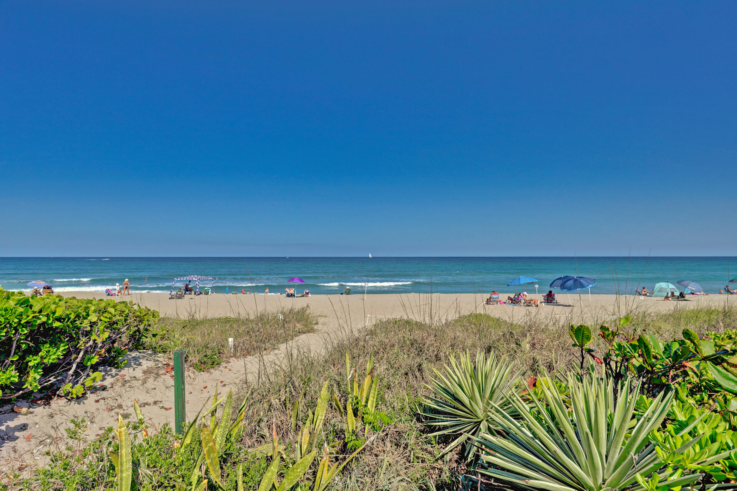 PALM WORTH INC - Residential