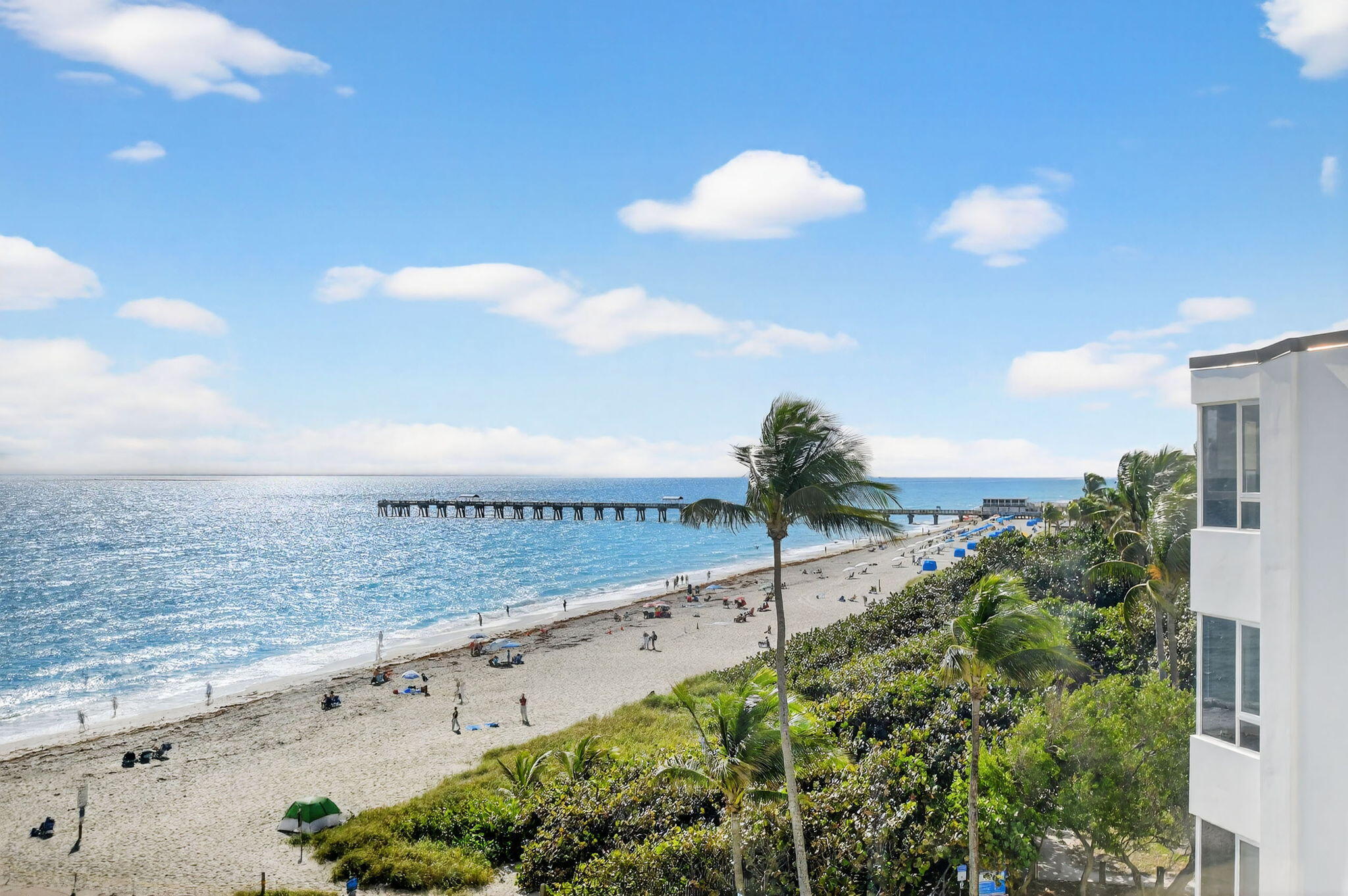 PALM WORTH INC - Residential