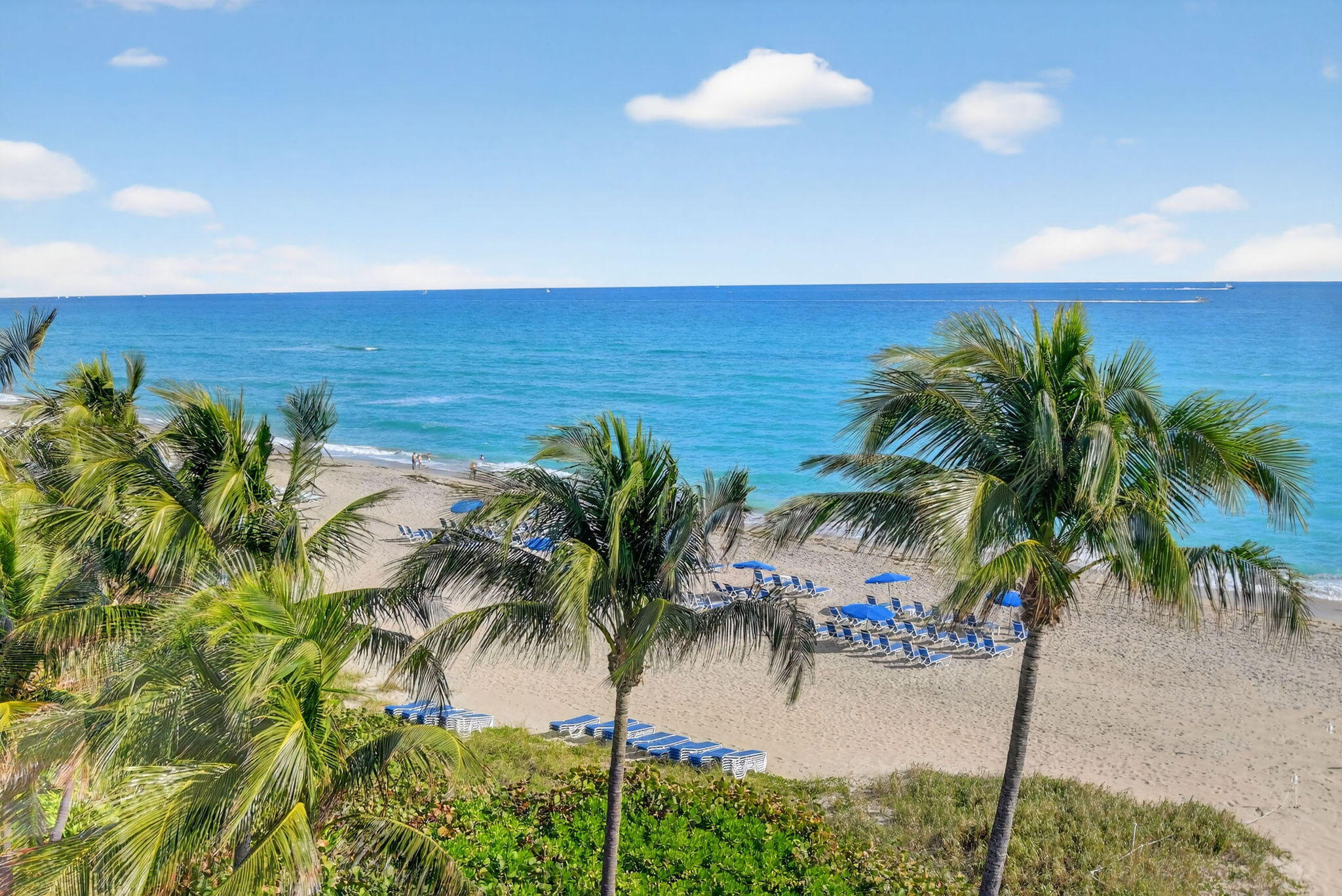 PALM WORTH INC - Residential