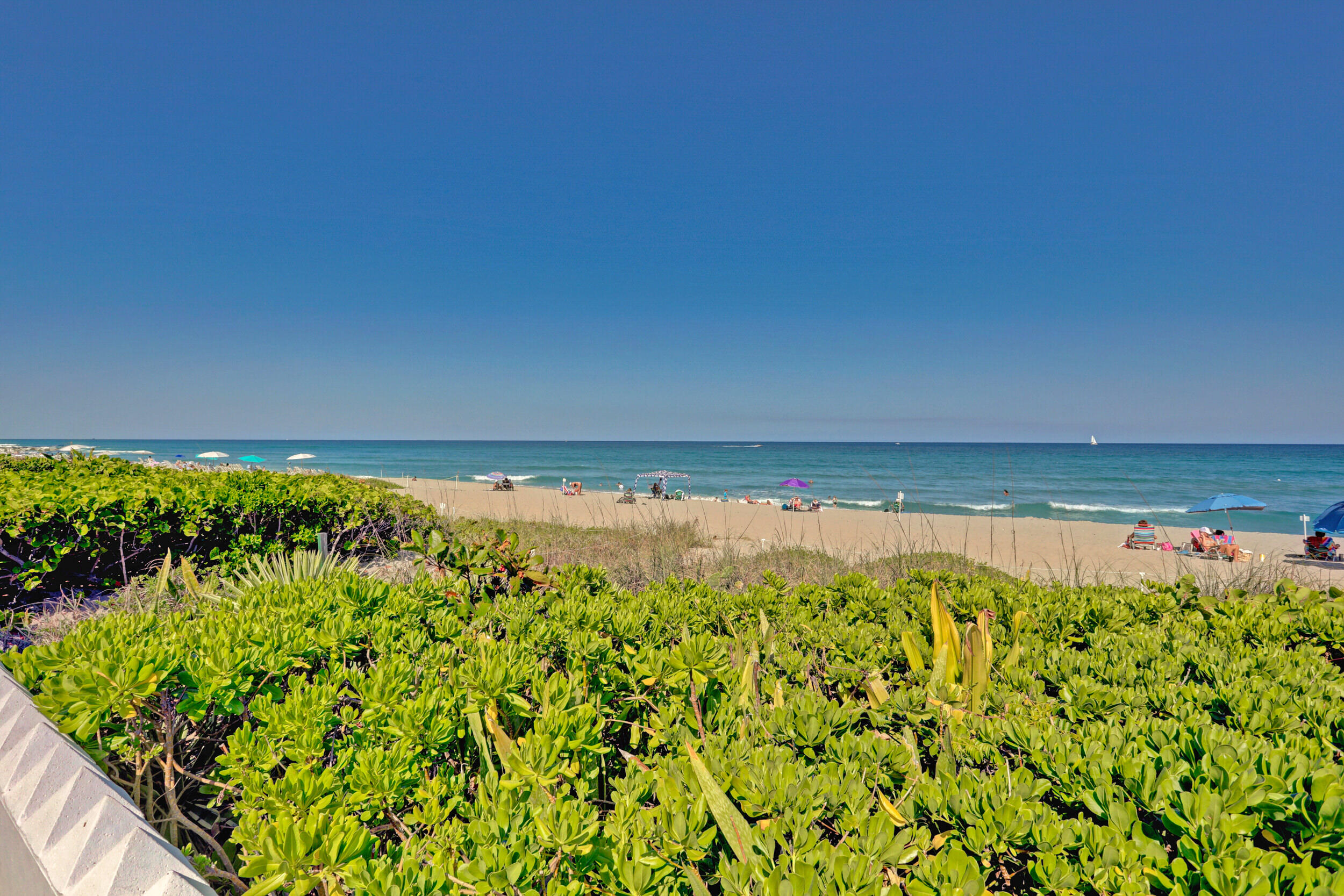 PALM WORTH INC - Residential