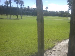 FOUNTAINS OF PALM BEACH C - Residential Lease