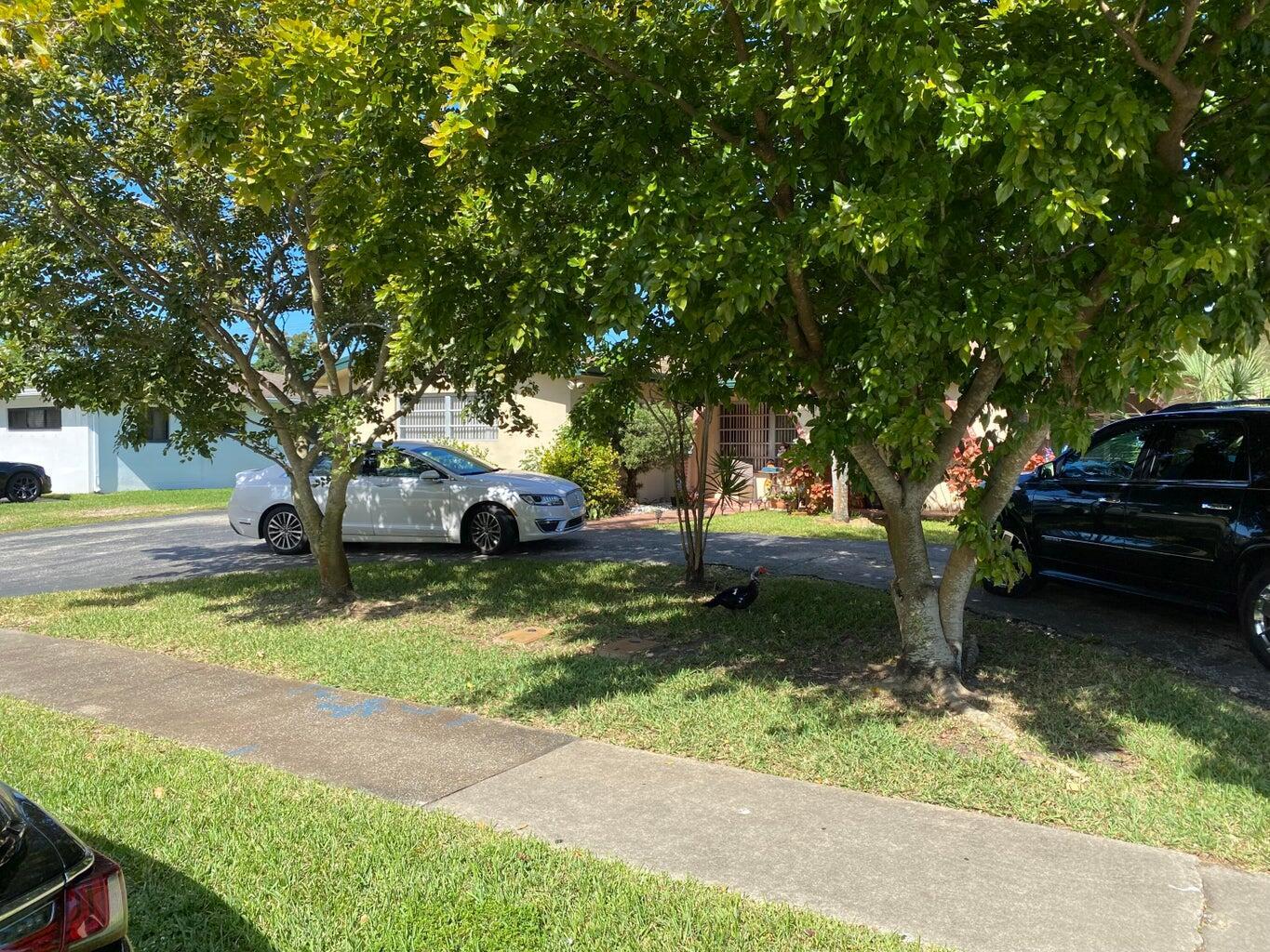 Central located 3 bedroom with 2 full bath. Private fenced in back yard with pool. Circular driveway shared room for three cars.