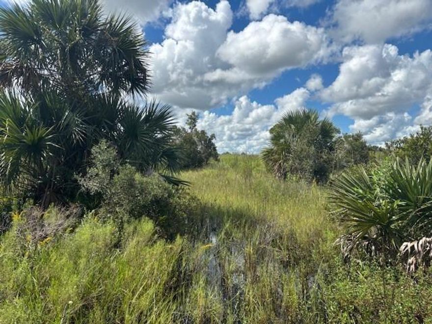 2.5 acres in Viking Estates. Close to the Kissimmee Prairie State Park. Bring your 4 -wheelers. This property is not only ideal for recreational uses such has camping, hunting and shooting, but it’s agricultural as well.
Owner finance available with only $3k down
