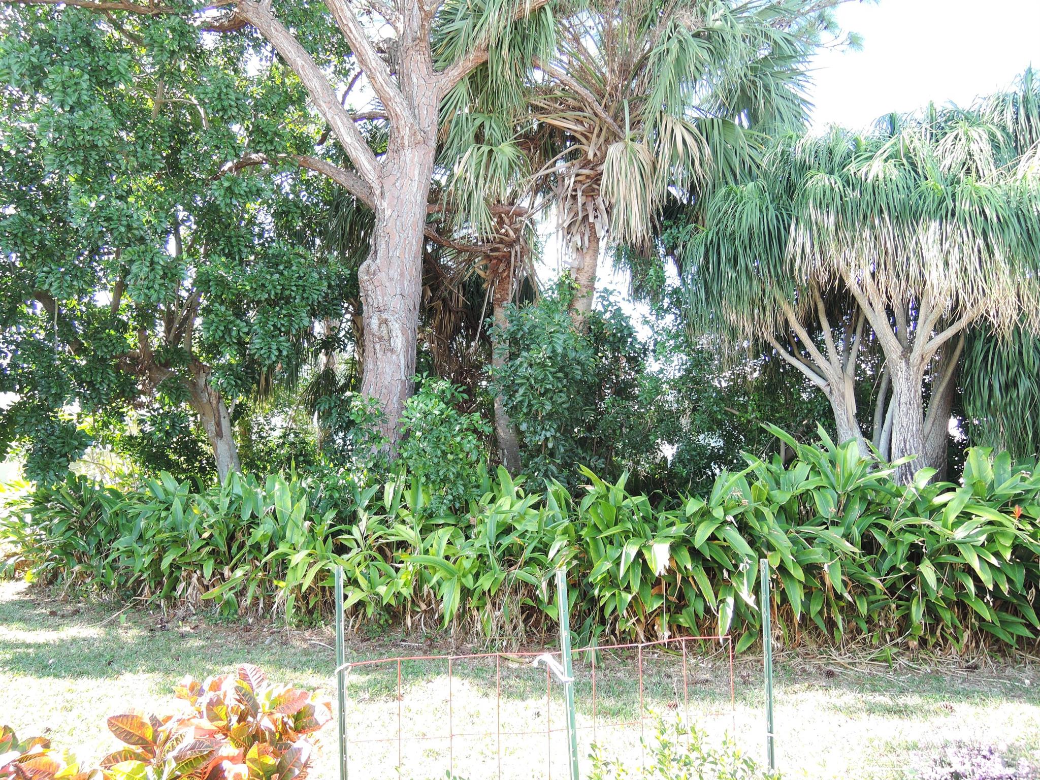 Fort Pierce, Florida 34982, United States, 2 Bedrooms Bedrooms, ,2 BathroomsBathrooms,Residential,Active,209582