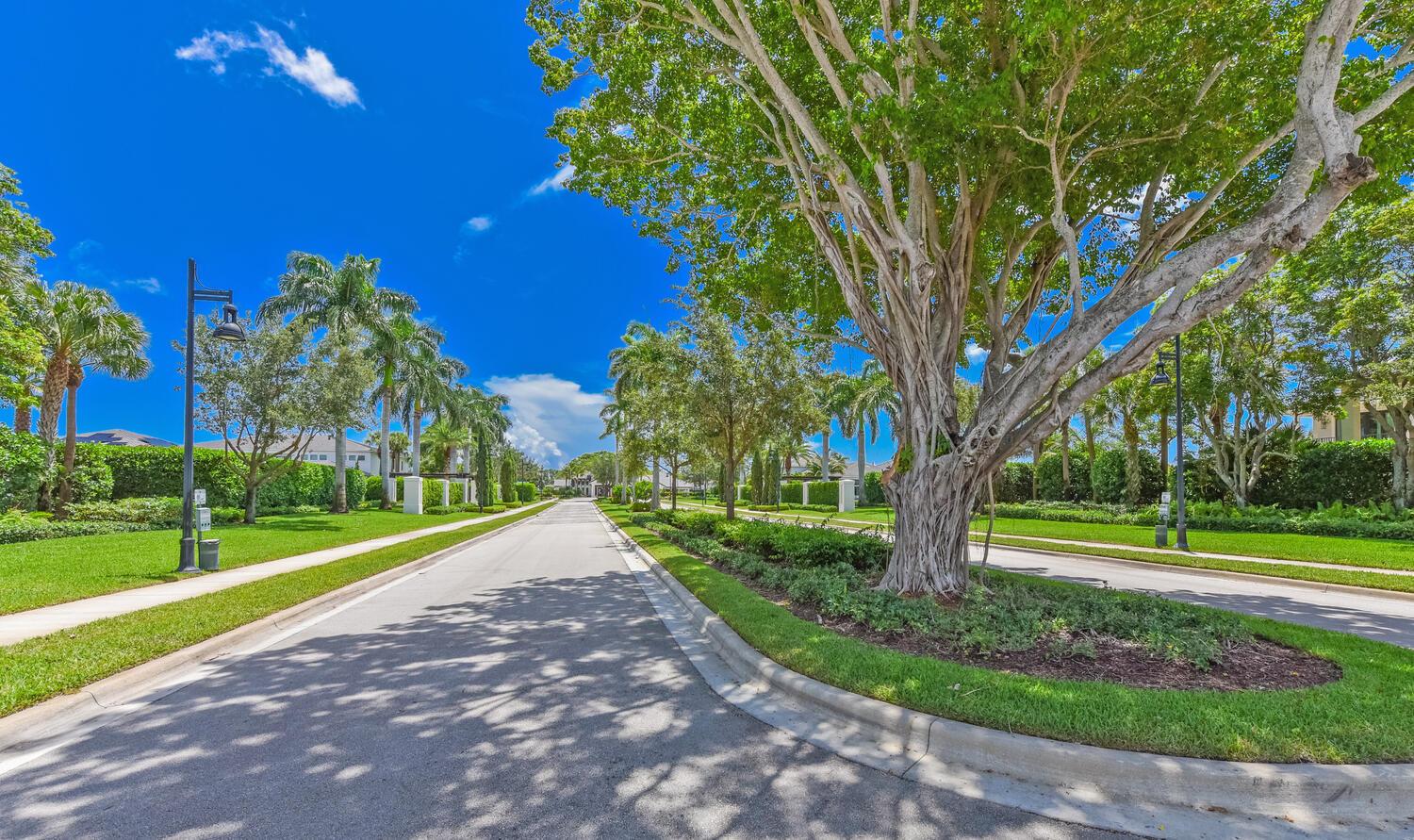 ROYAL PALM POLO PLAT - Residential Lease