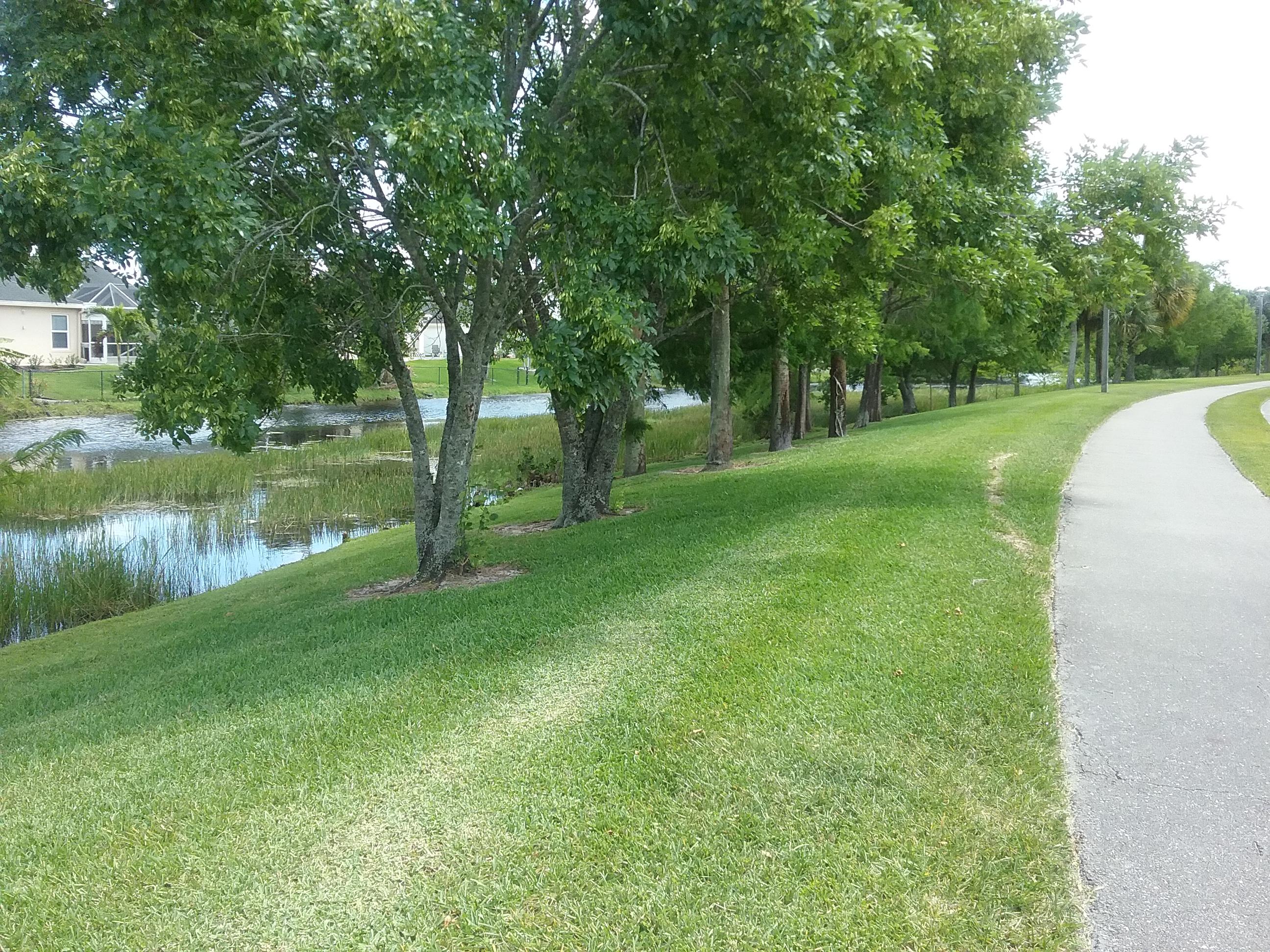 OLIVE TREE PAR 6C - Residential Lease