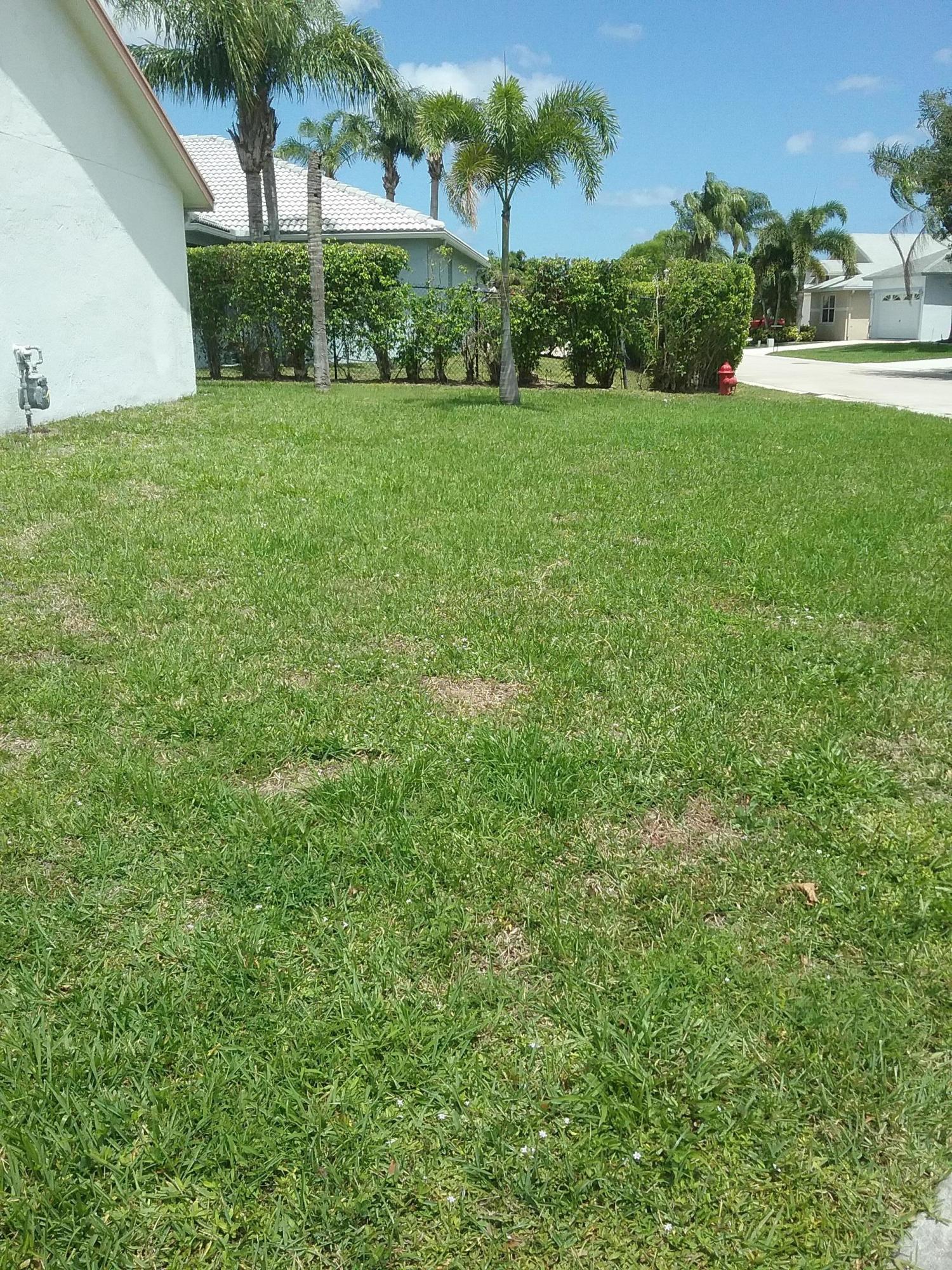 OLIVE TREE PAR 6C - Residential Lease