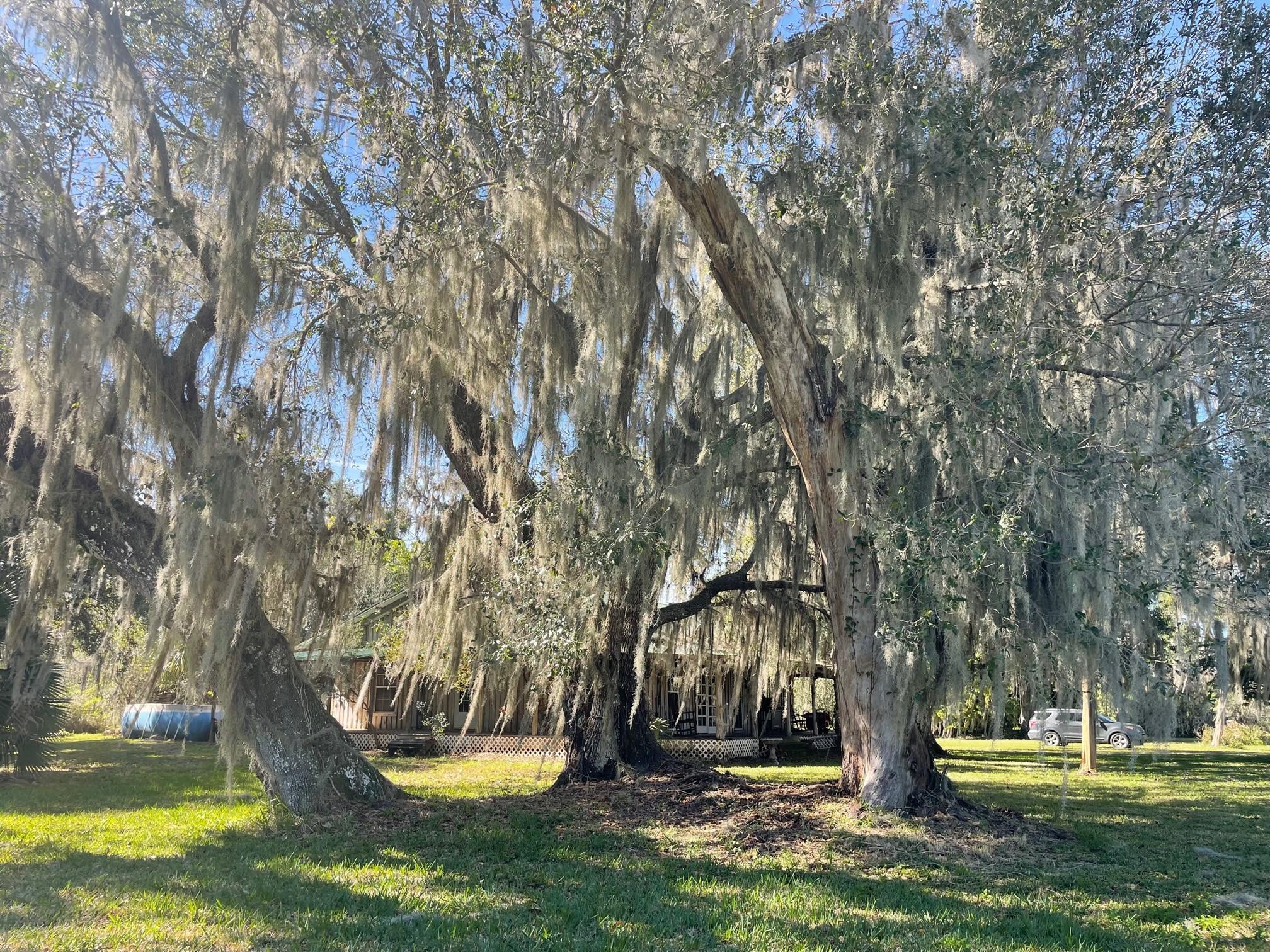 SOUTHERN COLONIZATION - Residential