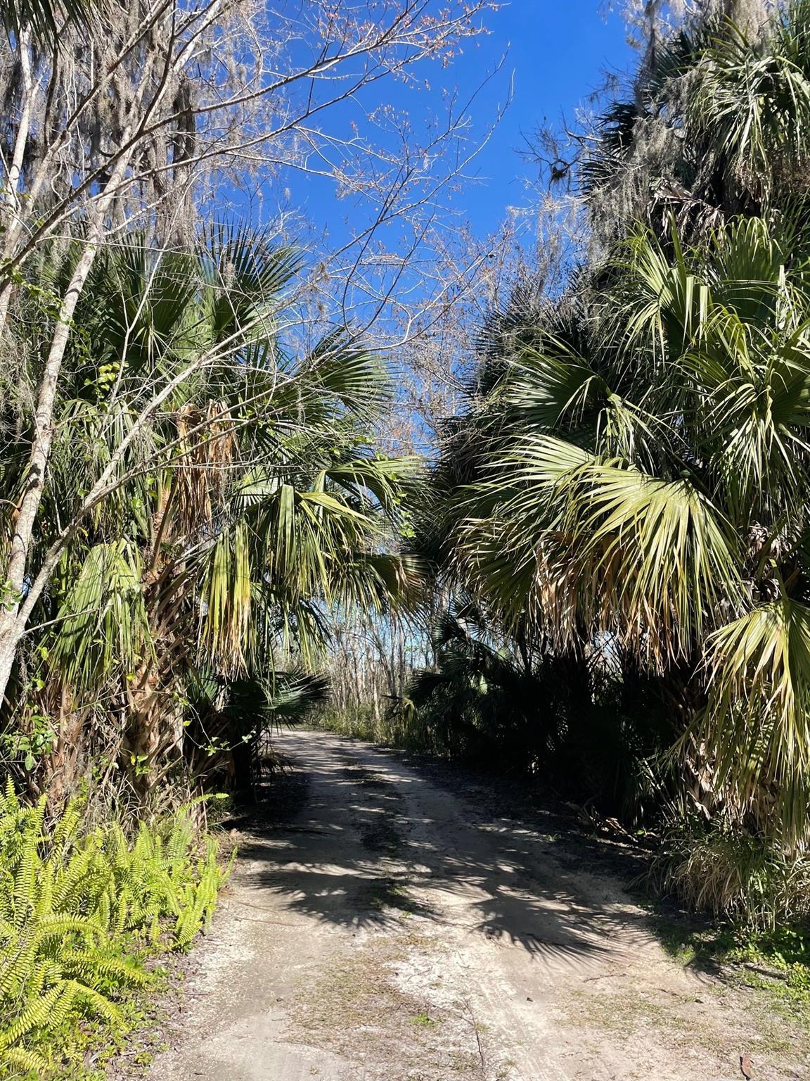 SOUTHERN COLONIZATION - Residential