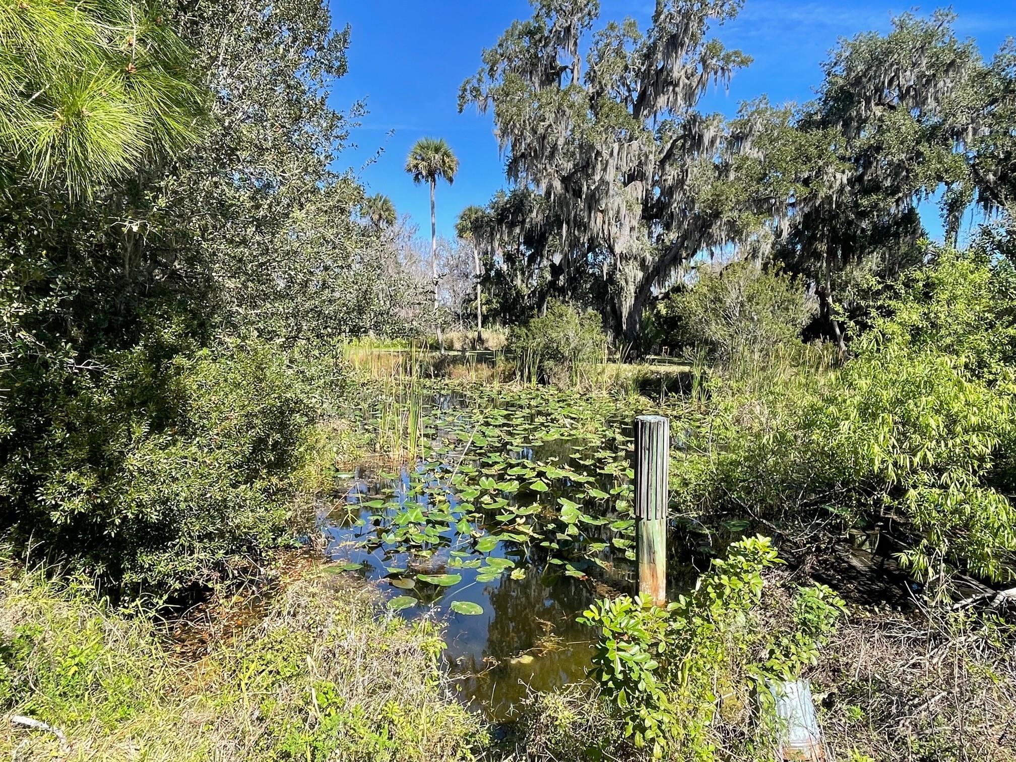 SOUTHERN COLONIZATION - Residential