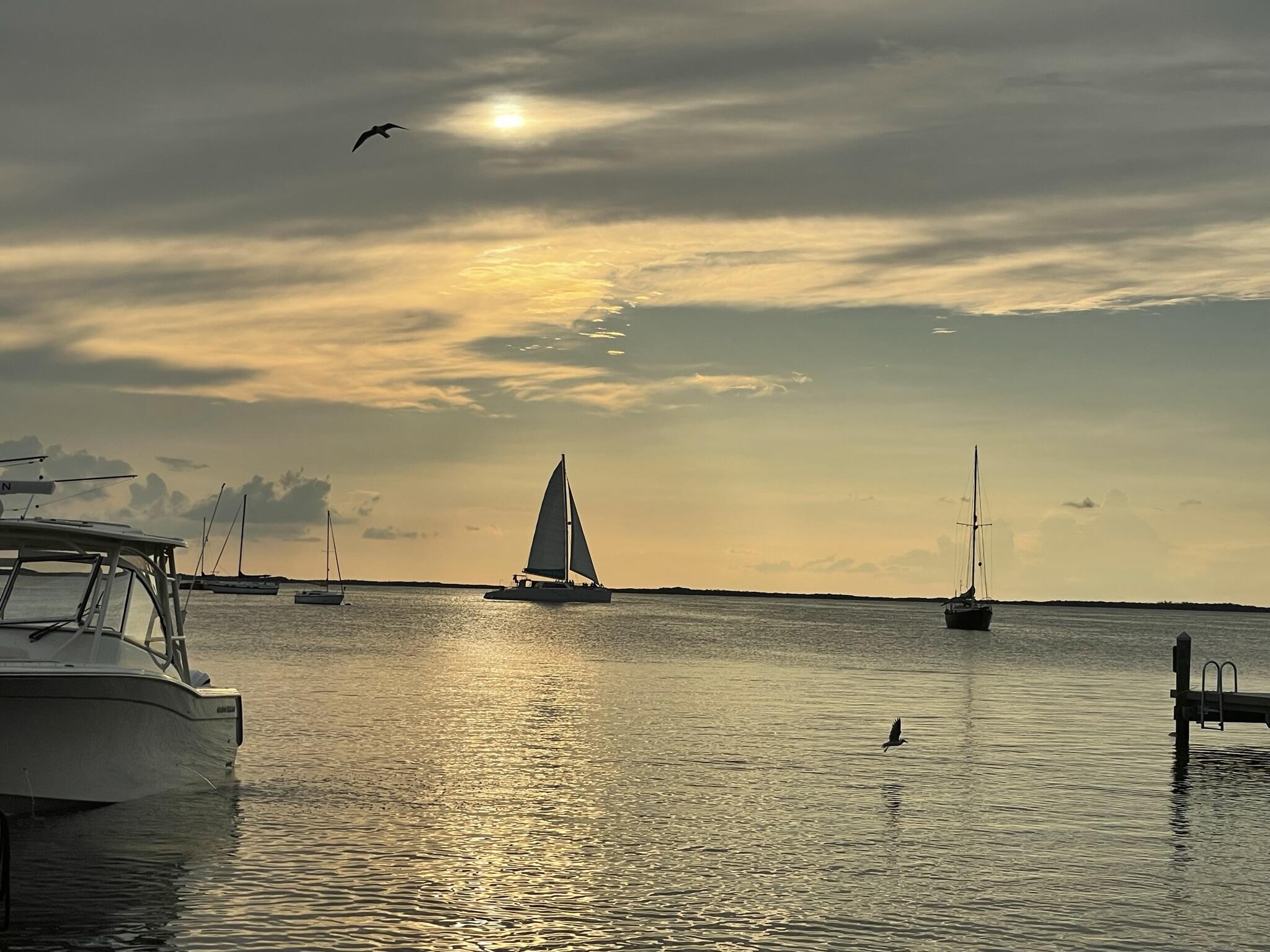 SEA RANCH CLUB OF BOCA II CONDO - Residential