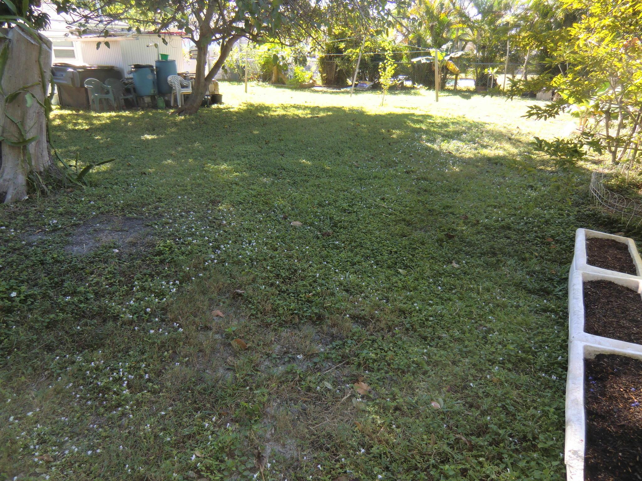 Kelsey City - Residential Lease