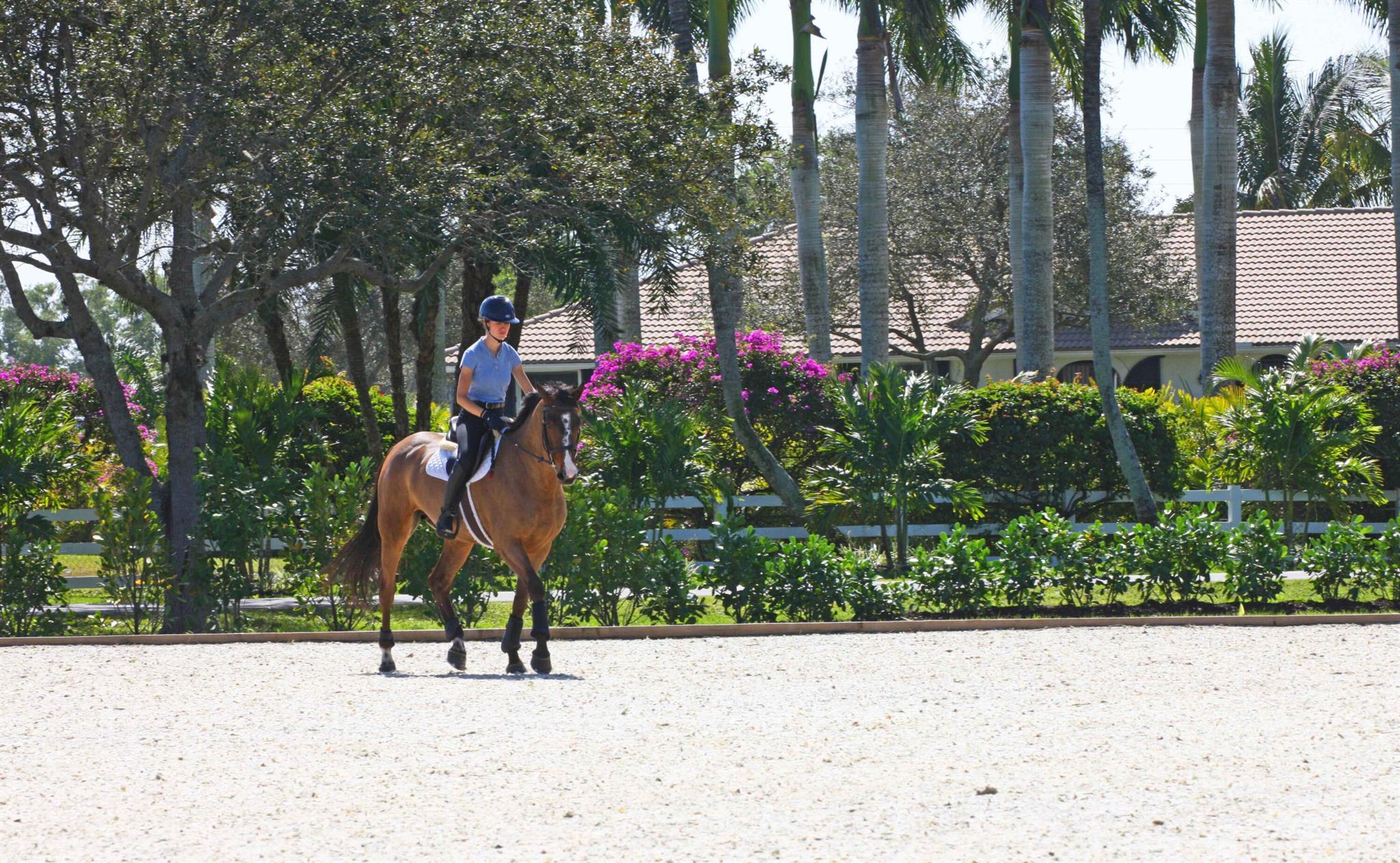 PALM BEACH POINT - Residential