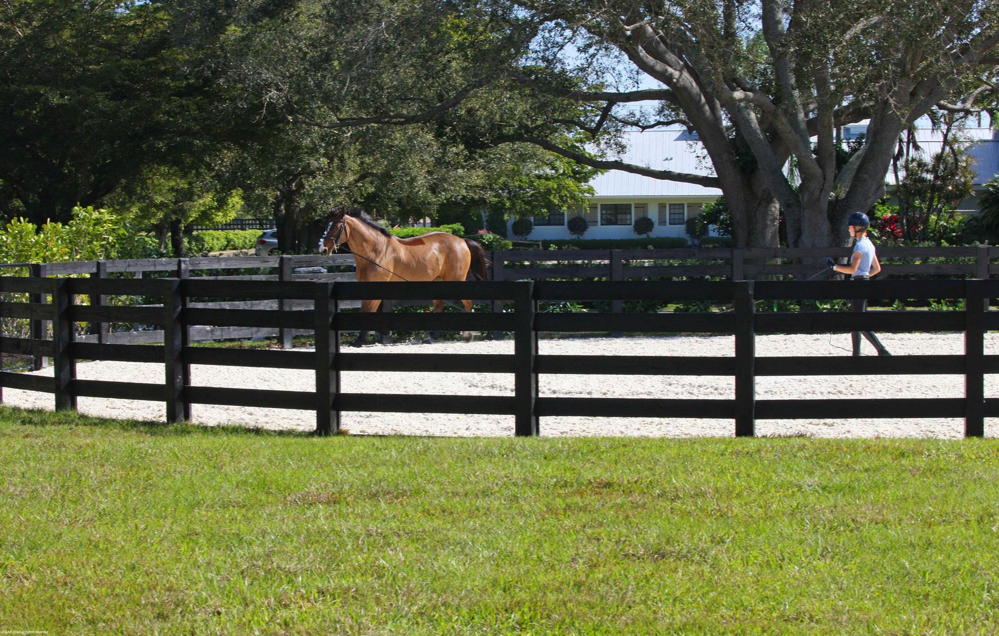 PALM BEACH POINT - Residential