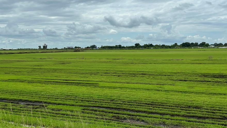 Attention Investors!! Vacant land with a 4000+ sq ft shop.  6 parcels of land total included in this sale equalling 85+/- acres.  84 acres are within unincorporated Palm Beach County and approx 1 acre is within the city limits of Belle Glade.  Call listing agent for more details.