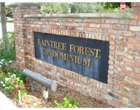 Raintree Forest Condo - Residential Lease