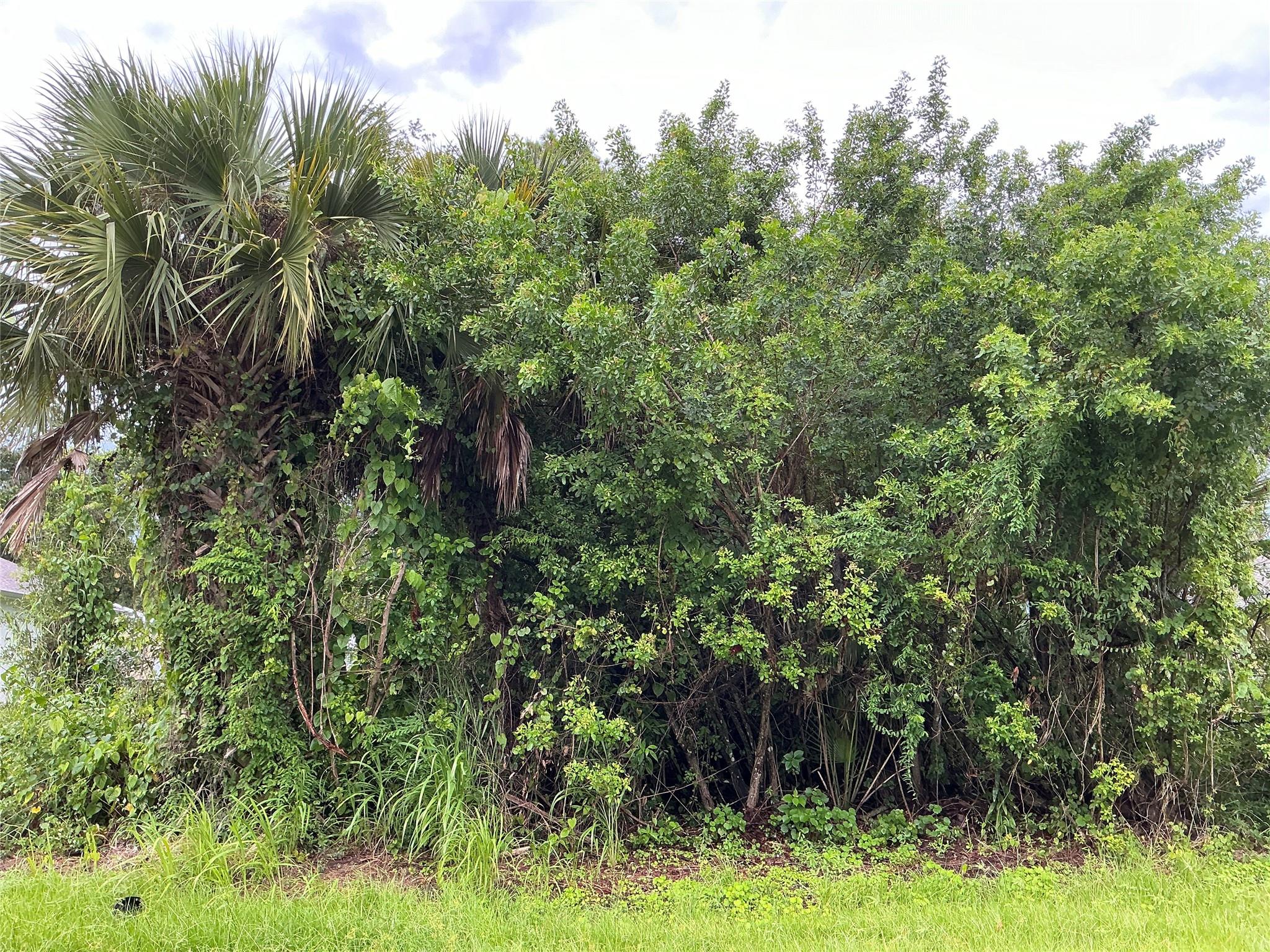 Situated in the heart of Sebastian, this lot measures 80 by 125 feet and is located outside the flood zone, with no endangered species, this lot is shovel-ready and primed for development. Seller financing, Low down payments, flexible terms up to 6 years, and fixed monthly payments. Quick approval with no banks. Build equity you can later use to build your home with us. Try our payment calculator online or call us to learn more about our financing options. The City of Sebastian is located in Indian River County approximately midway between Melbourne and Vero Beach on the Treasure Coast. It is recognized as the home of Pelican Island.