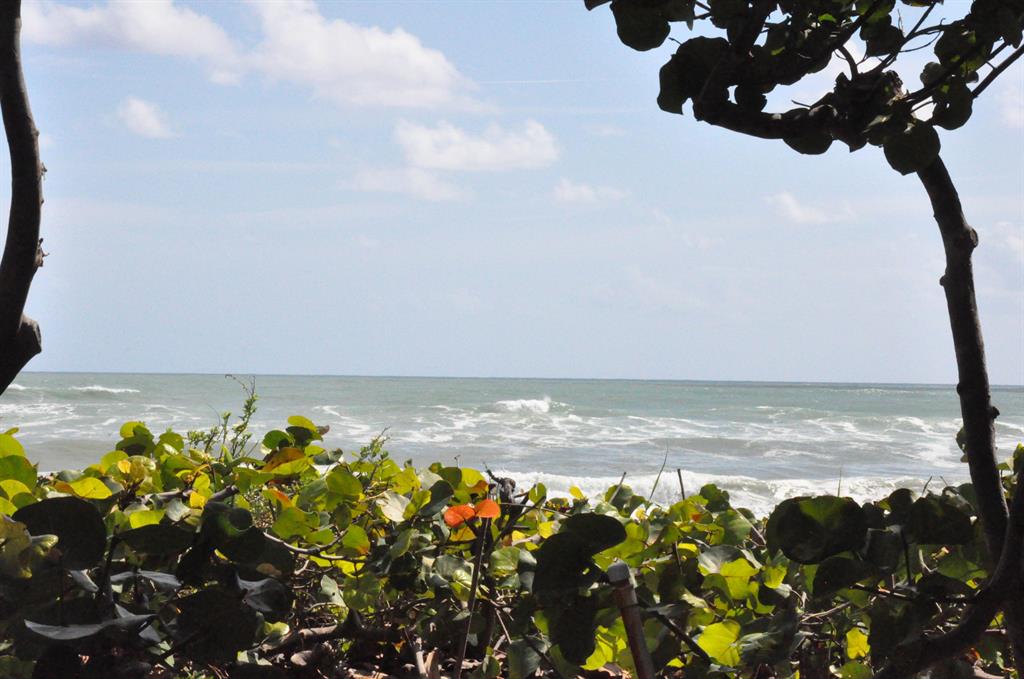 Ridge at The Bluffs - Residential