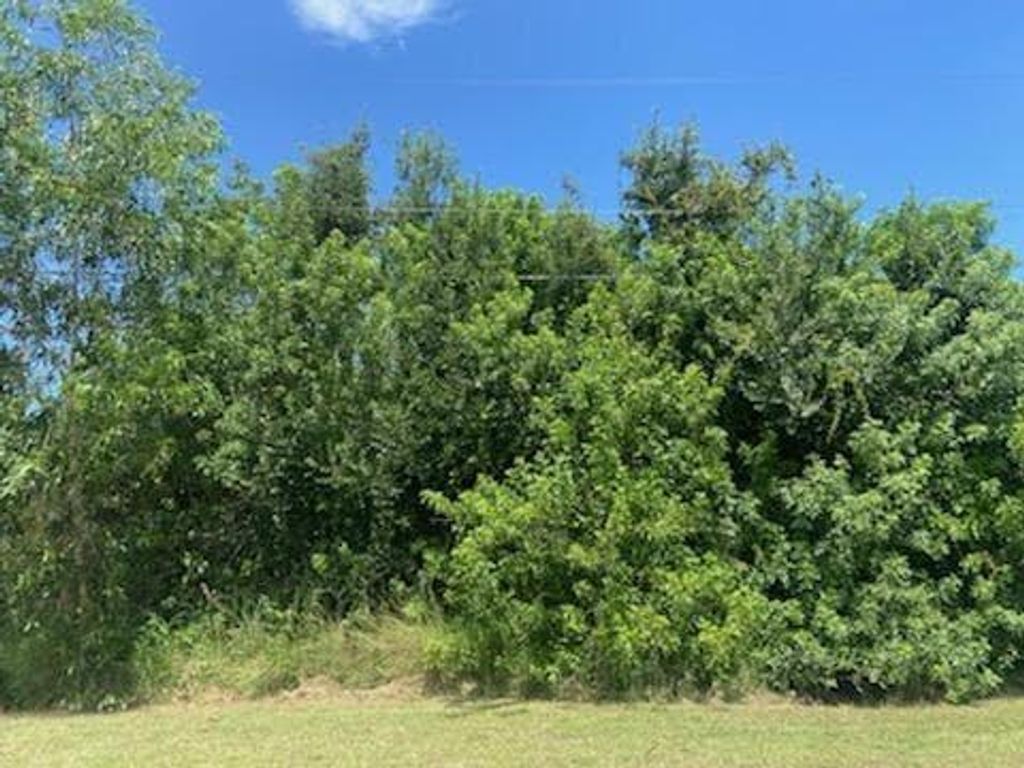 Photo of 1034 SW College Park Road, Port St Lucie, FL 34953 (MLS # R10826937)