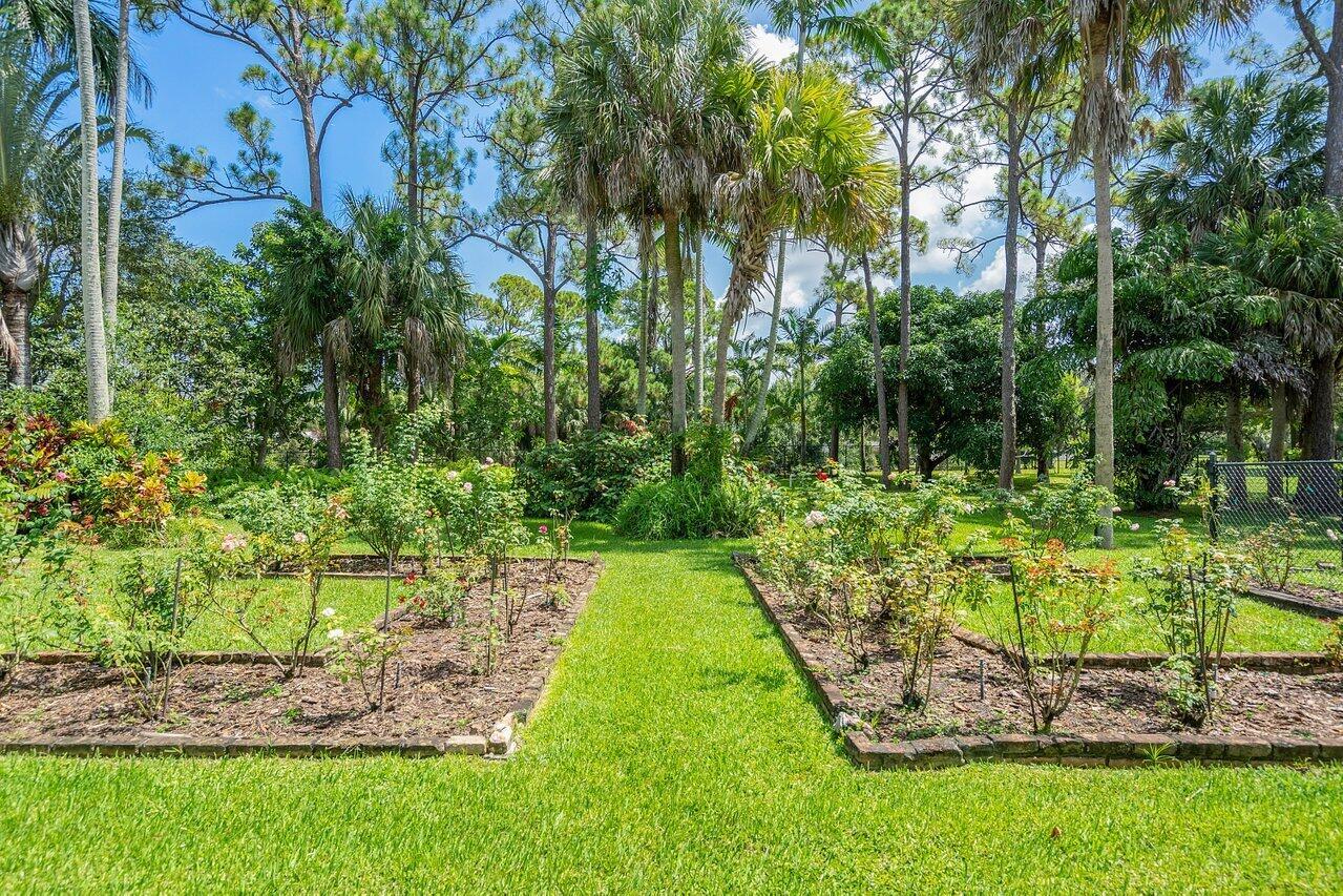 STEEPLECHASE - Residential