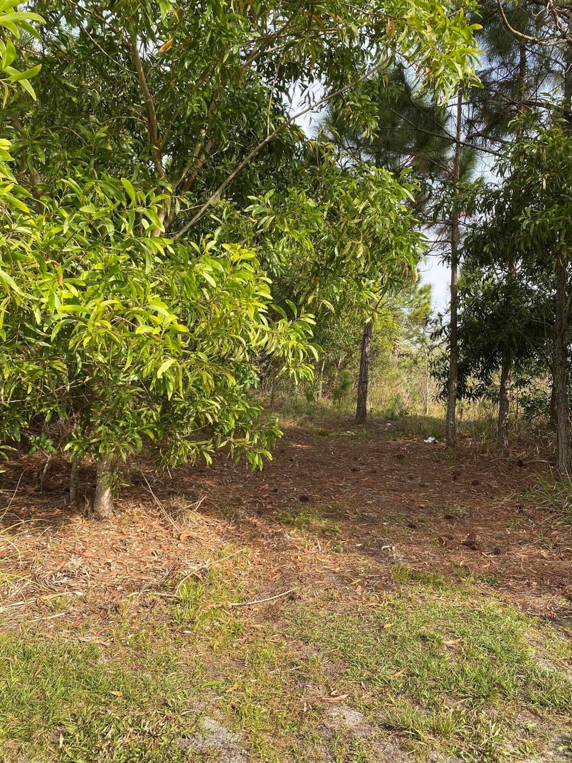 17755 Fox Trail Lane