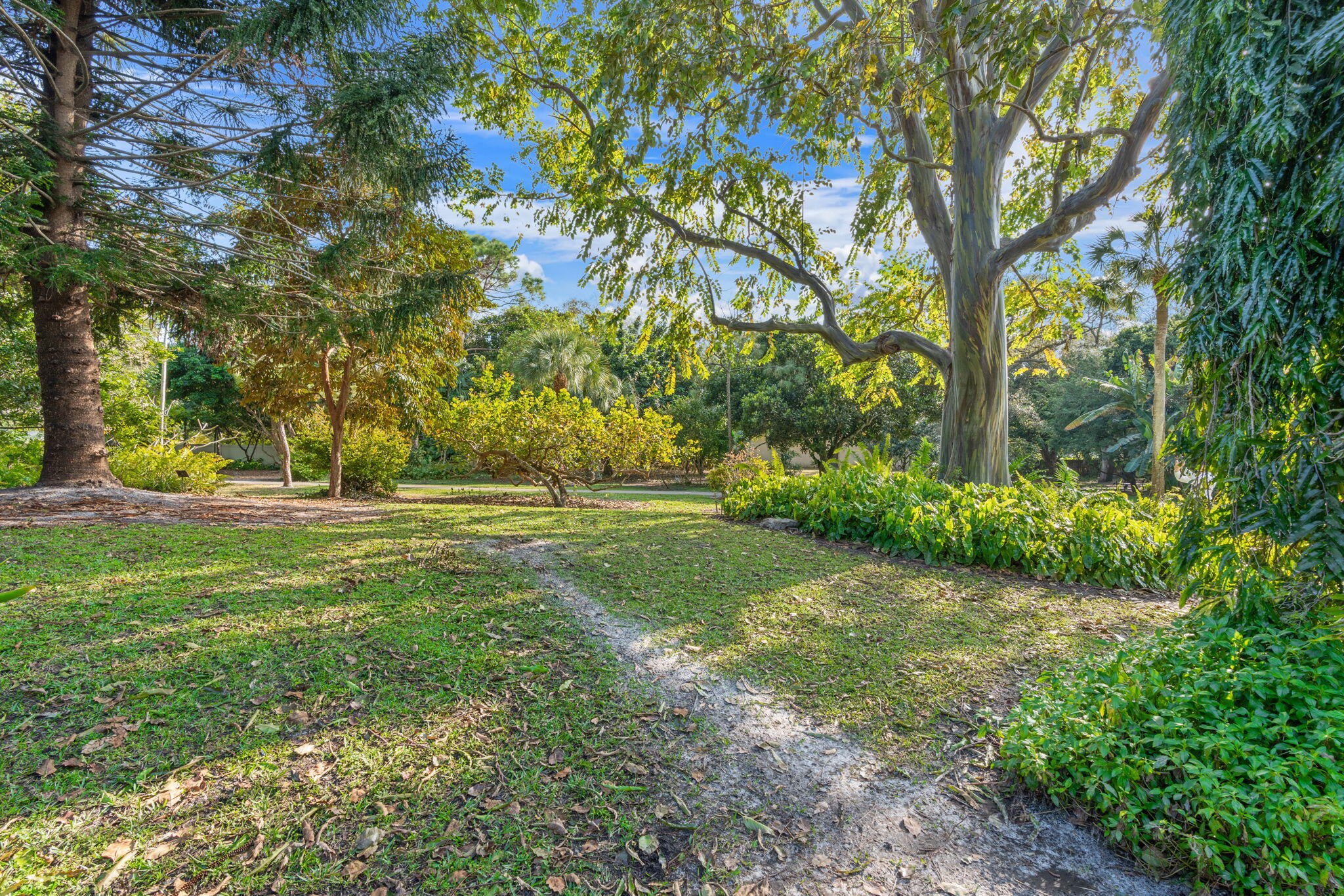 WOODLANDS OF DEER CREEK - Residential