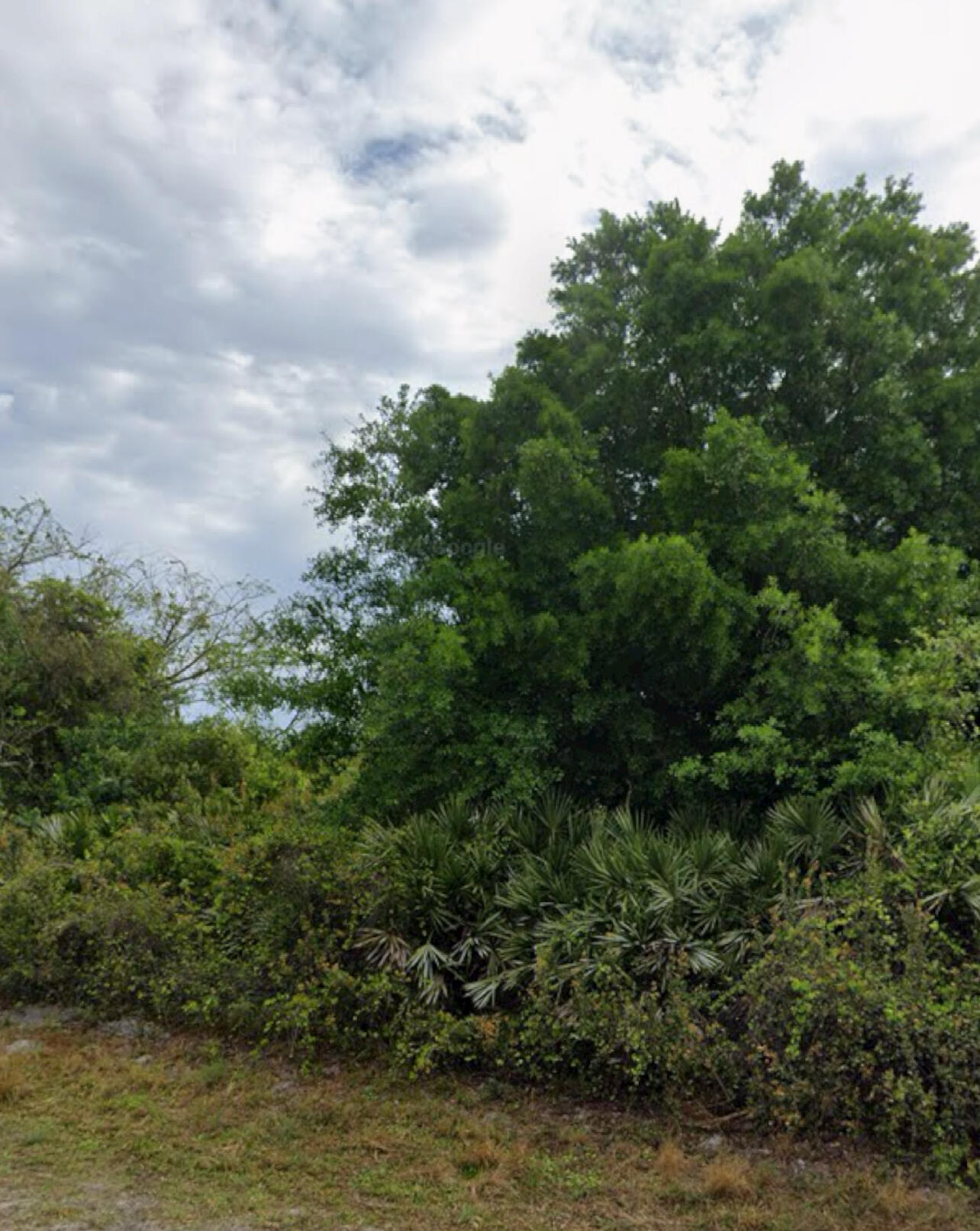 Basswood Estates in Okeechobee vacant land ready single family home situated .38 acre. Just North off 441 Lake Okeechobee great fishing bring your boat. Single family zoning.