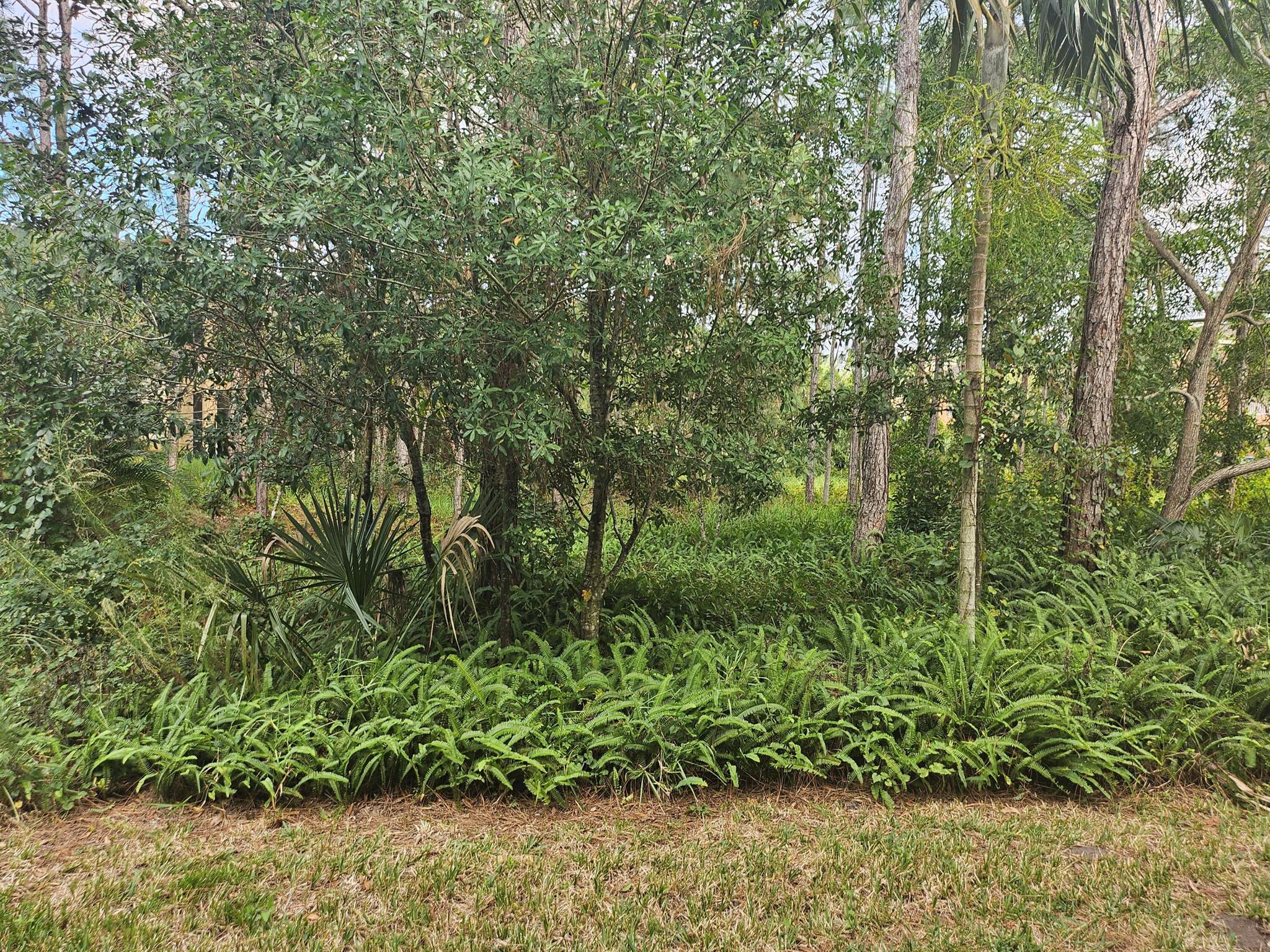 CASTLE PINES CONDOMINIUM - Residential Lease