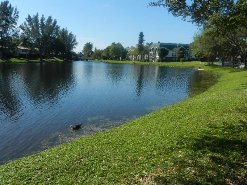 International Village - Residential