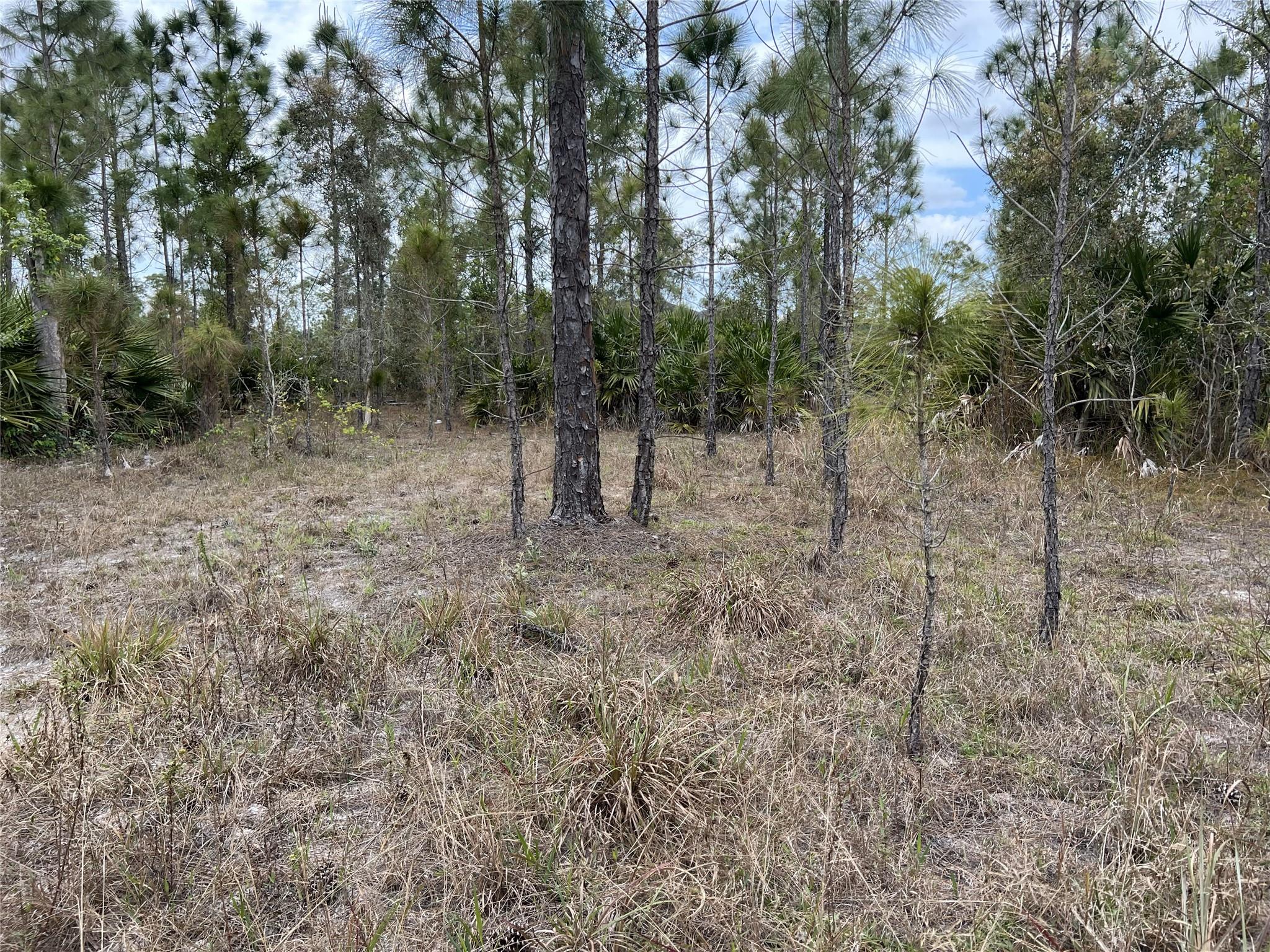 Vacant Lot. Build to suit your dream home.