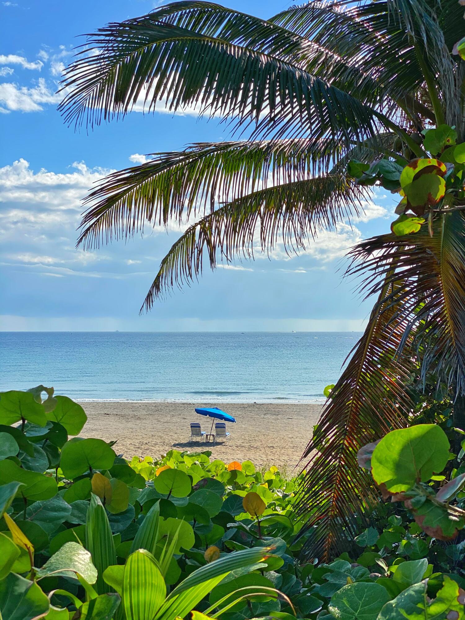 MARINA VILLAGE AT BOYNTON BEACH CONDO - Residential Lease