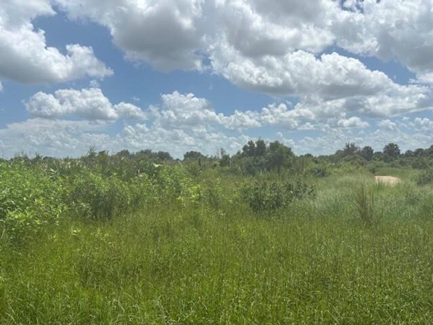 1.25 acre corner lot in Viking Estates. Close to the Kissimmee Prairie State Park. Bring your 4 -wheelers. This property is not only ideal for recreational uses such has camping, hunting and shooting, but it’s agricultural as well.
Owner financing available