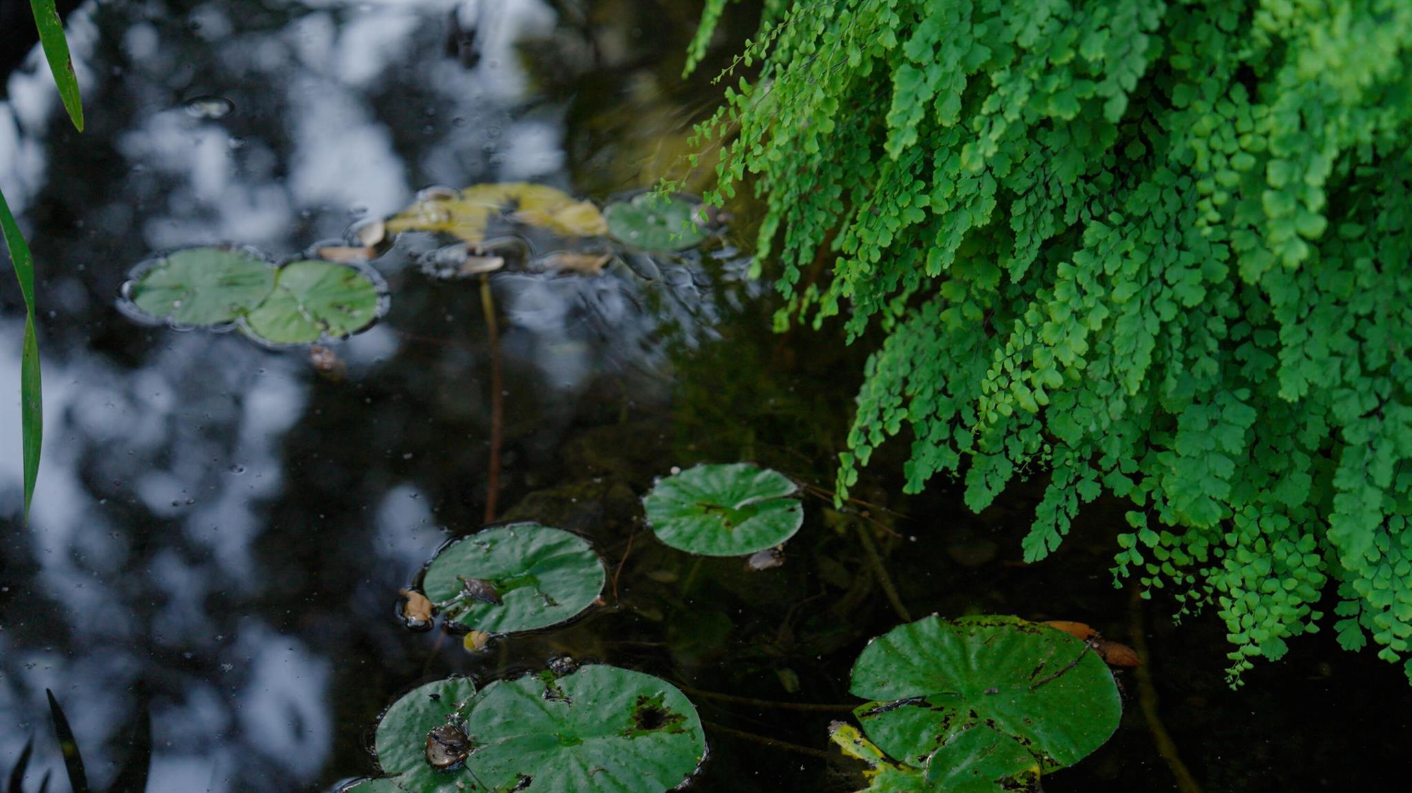 Villa Gucci - Residential