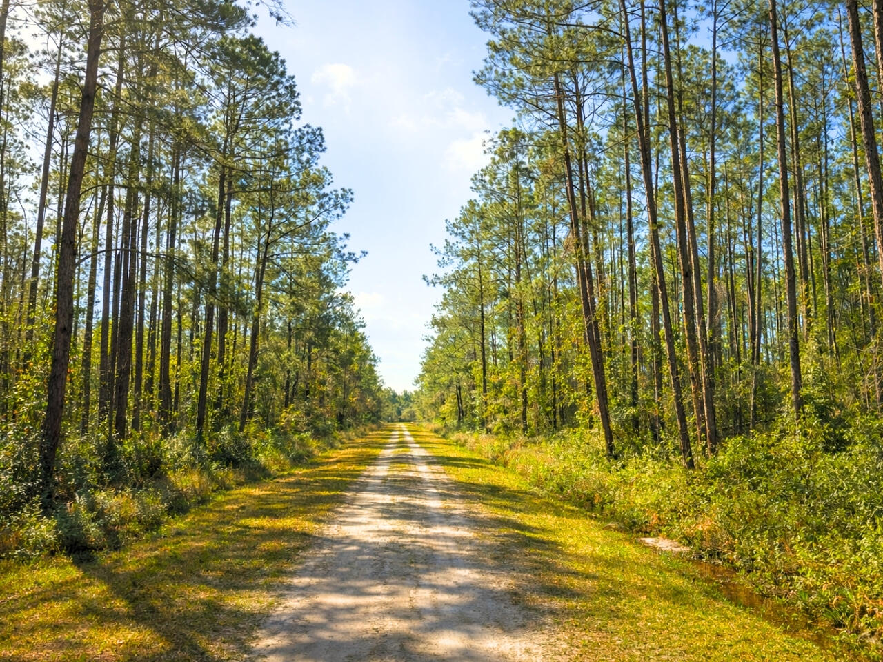 FLAGLER ESTATES - Land