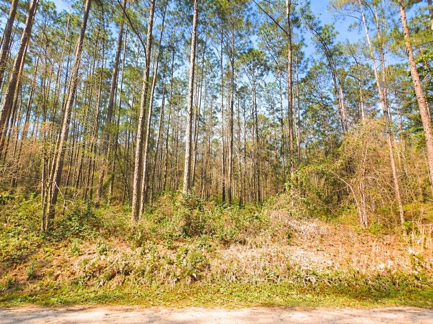 Beautiful opportunity to own this wooded 1.14-acre vacant lot located at Flagler Estates area of Hastings, FL.  Tucked away in a peaceful, rural setting with no HOA and outside the flood zone, this property offers the freedom to create the lifestyle you've always wanted. Whether you're planning to build a site-built home, modular, or manufactured home, this lot gives you the flexibility to make it your own. Farm animals are welcome, too—perfect for those looking to start a homestead or enjoy a little extra space. Have and hold as an investment. Enjoy nearby outdoor adventures at Deep Creek, the St. Johns River, and historic St. Augustine, all just a short drive away. With only 60 minute Jacksonville and 90 minutes to Orlando this location offers your dream experience of peaceful country living while staying within reach of  beach & city conveniences. Make this your real life florida paradise today!