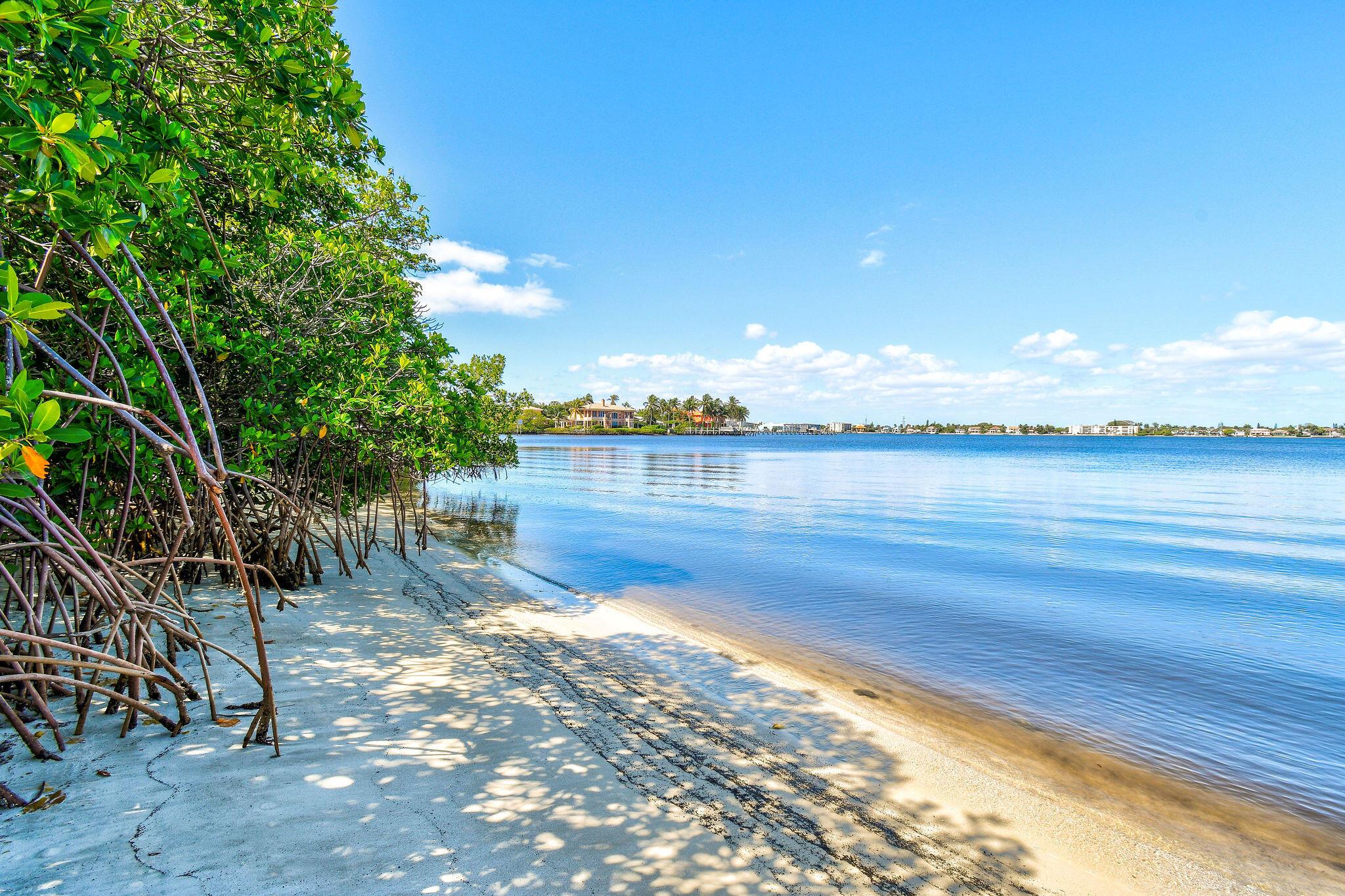 HALCYON OF PALM BEACH - Residential Lease