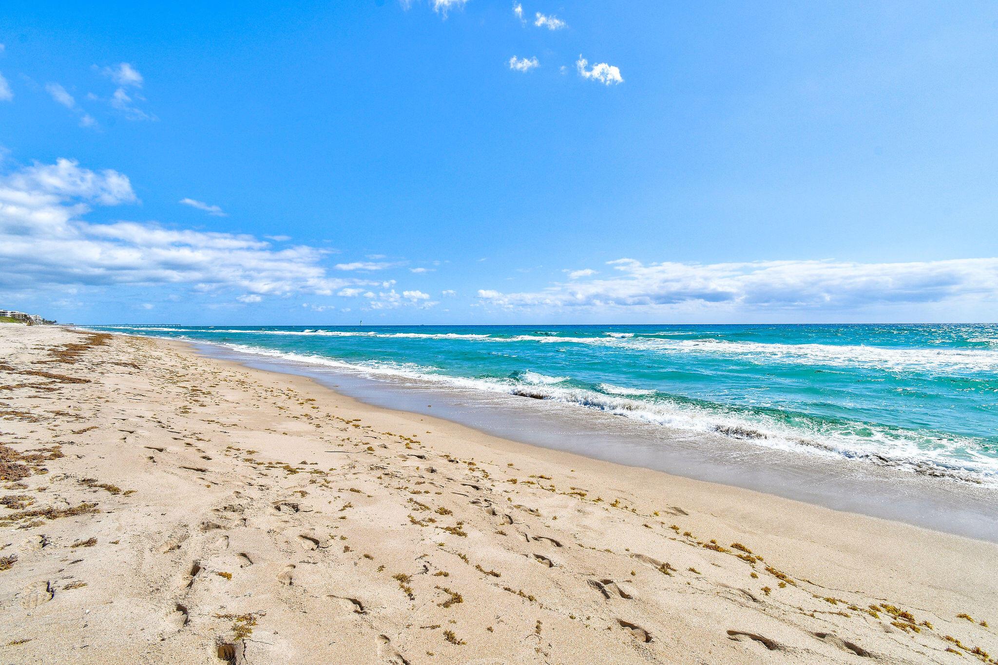 HALCYON OF PALM BEACH - Residential Lease