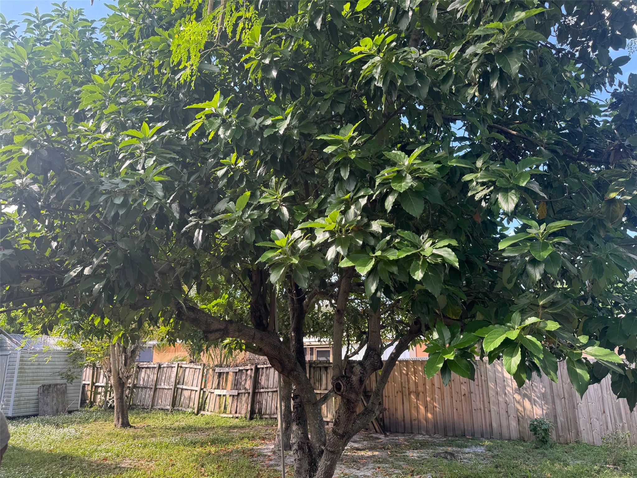 Pompano Bch Commy - Residential