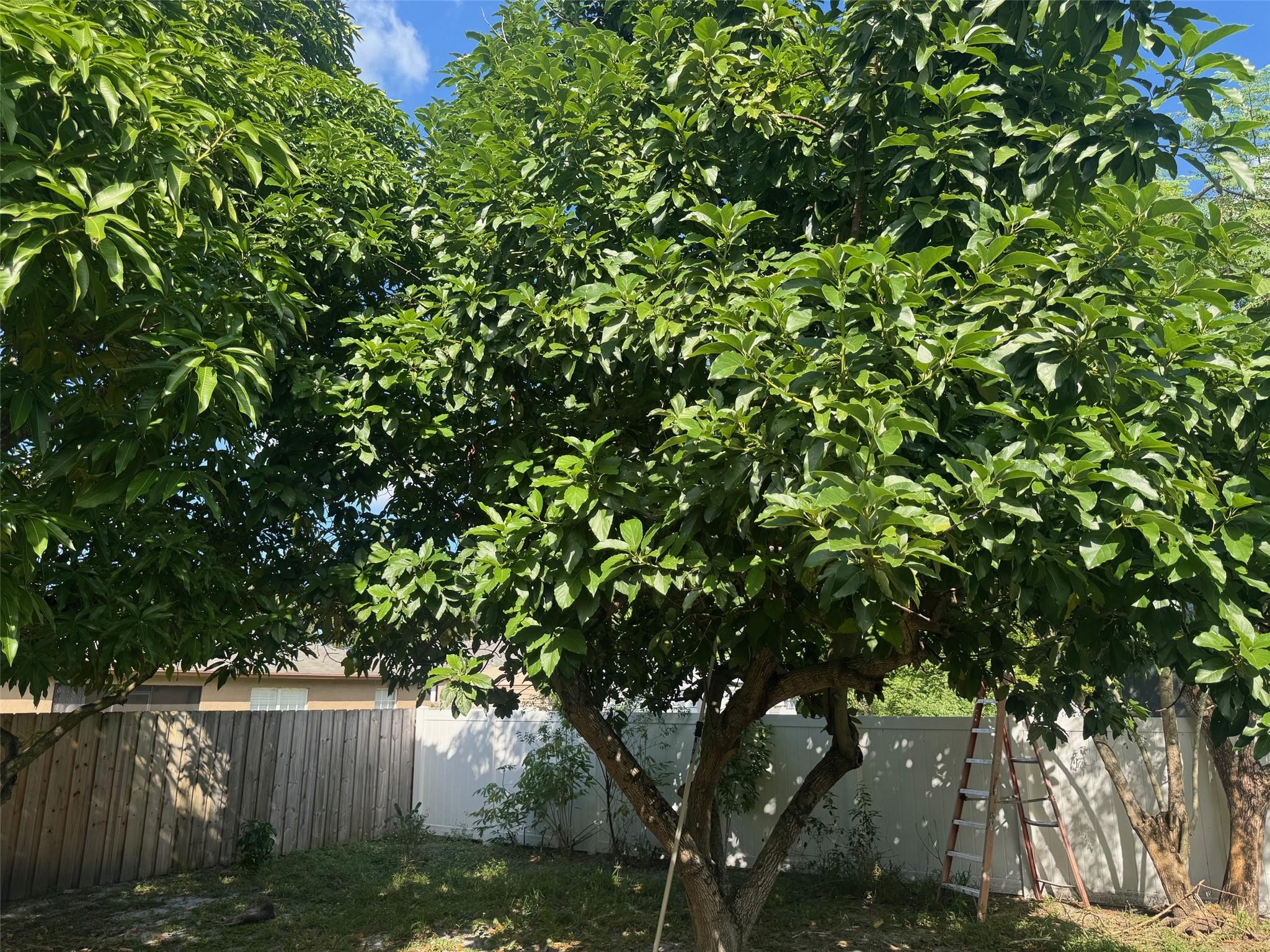 Pompano Bch Commy - Residential