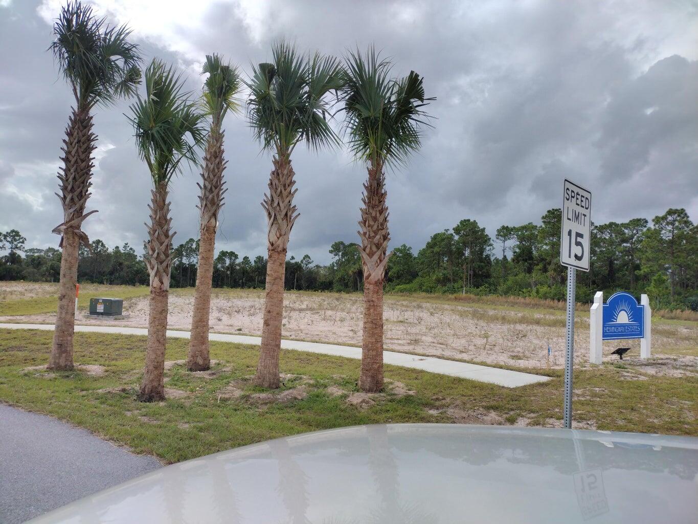 Hemingway Estates - Land