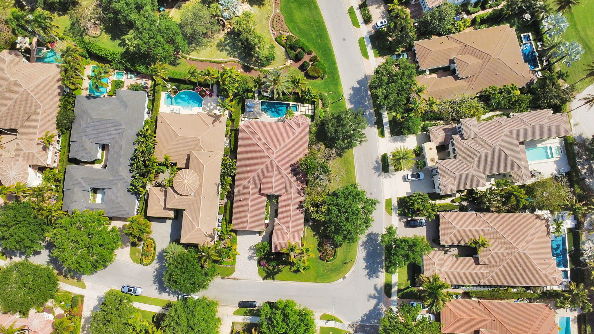 OLD PALM 2 - Residential