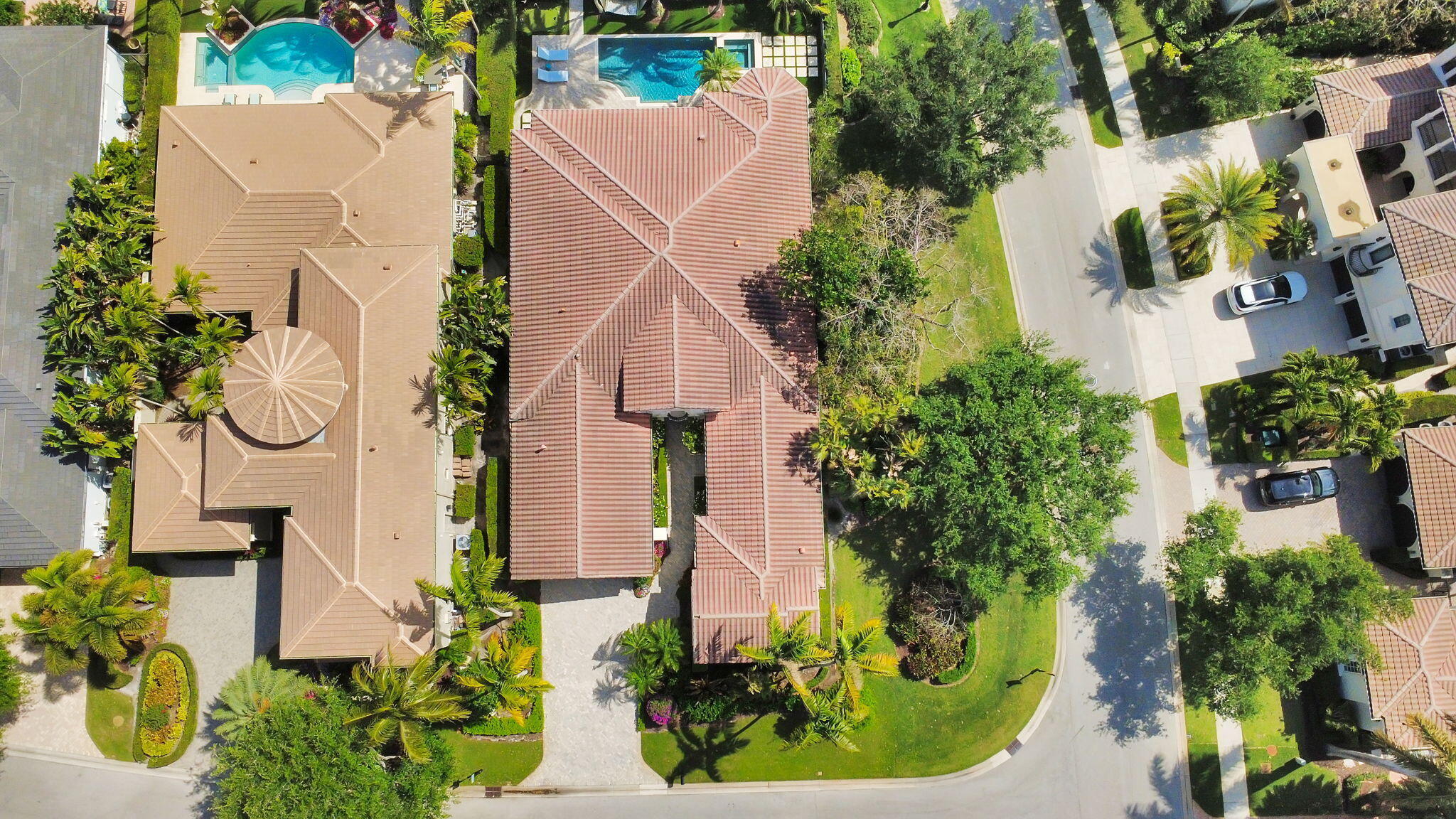 OLD PALM 2 - Residential