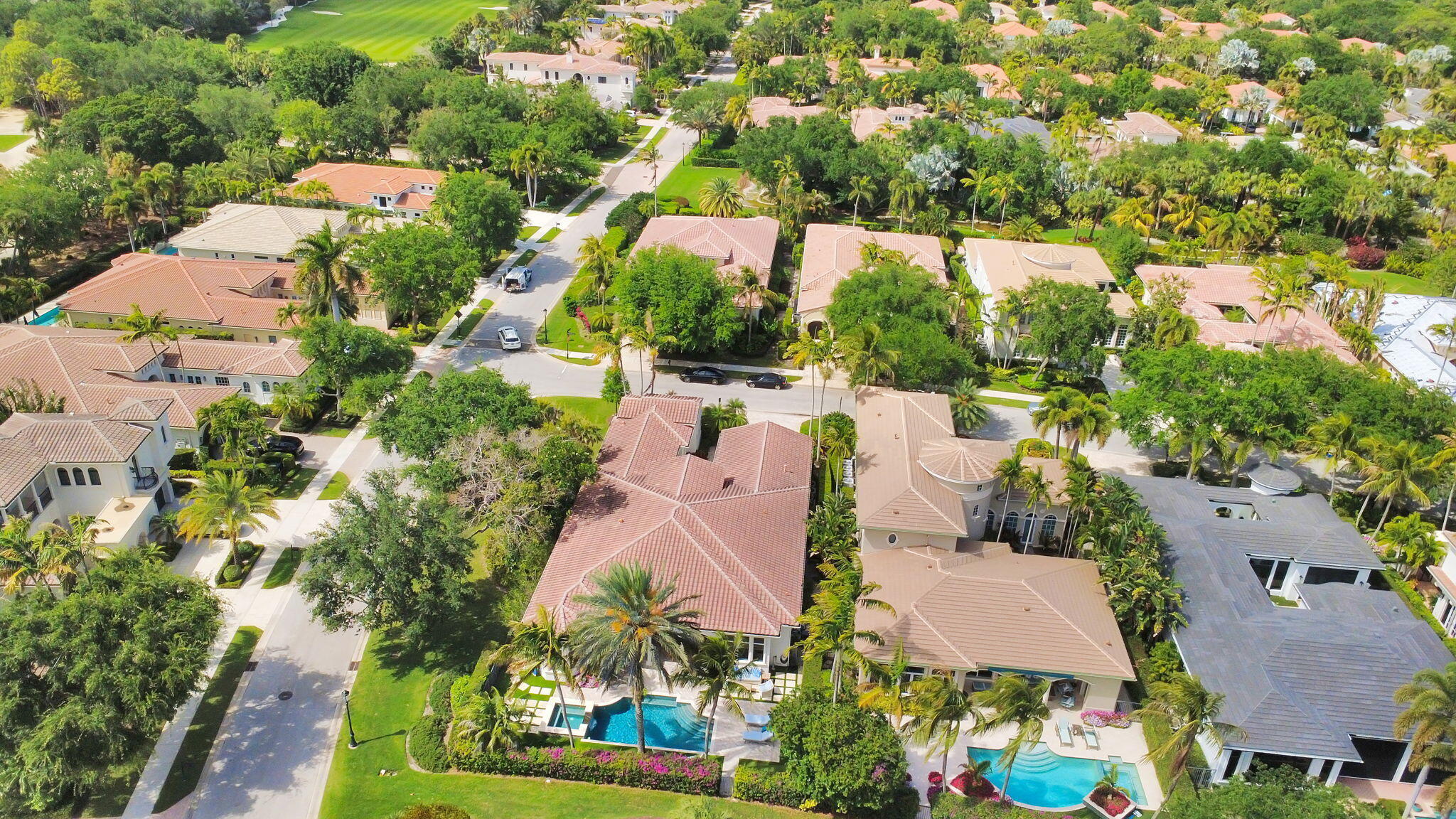 OLD PALM 2 - Residential