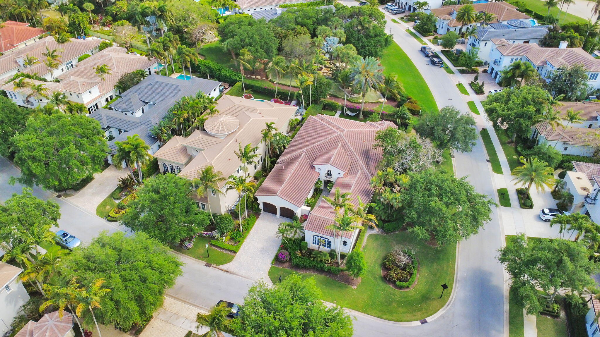 OLD PALM 2 - Residential