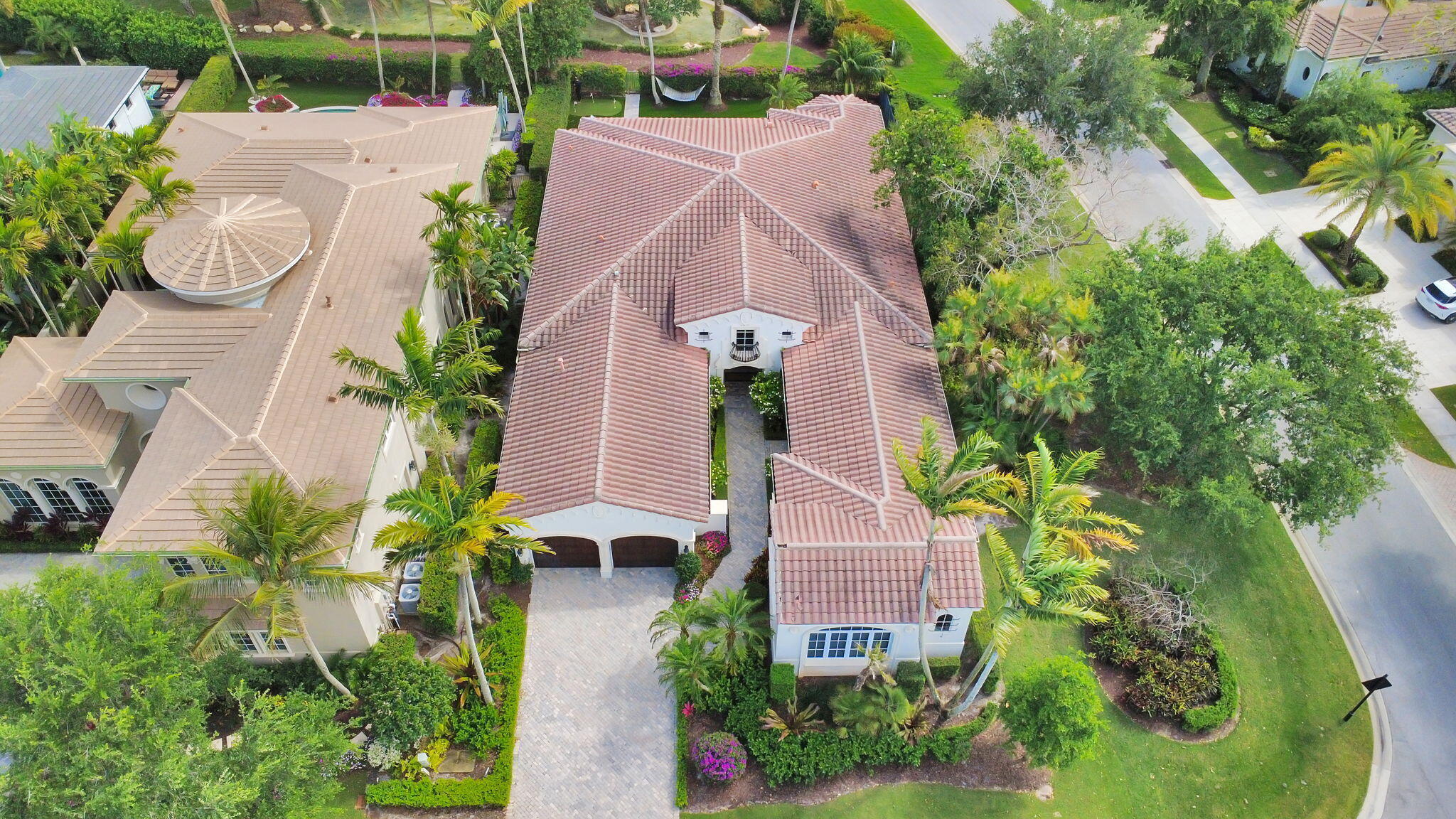 OLD PALM 2 - Residential