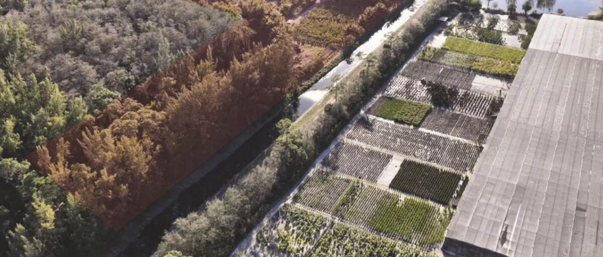 Heritage Farms - Land