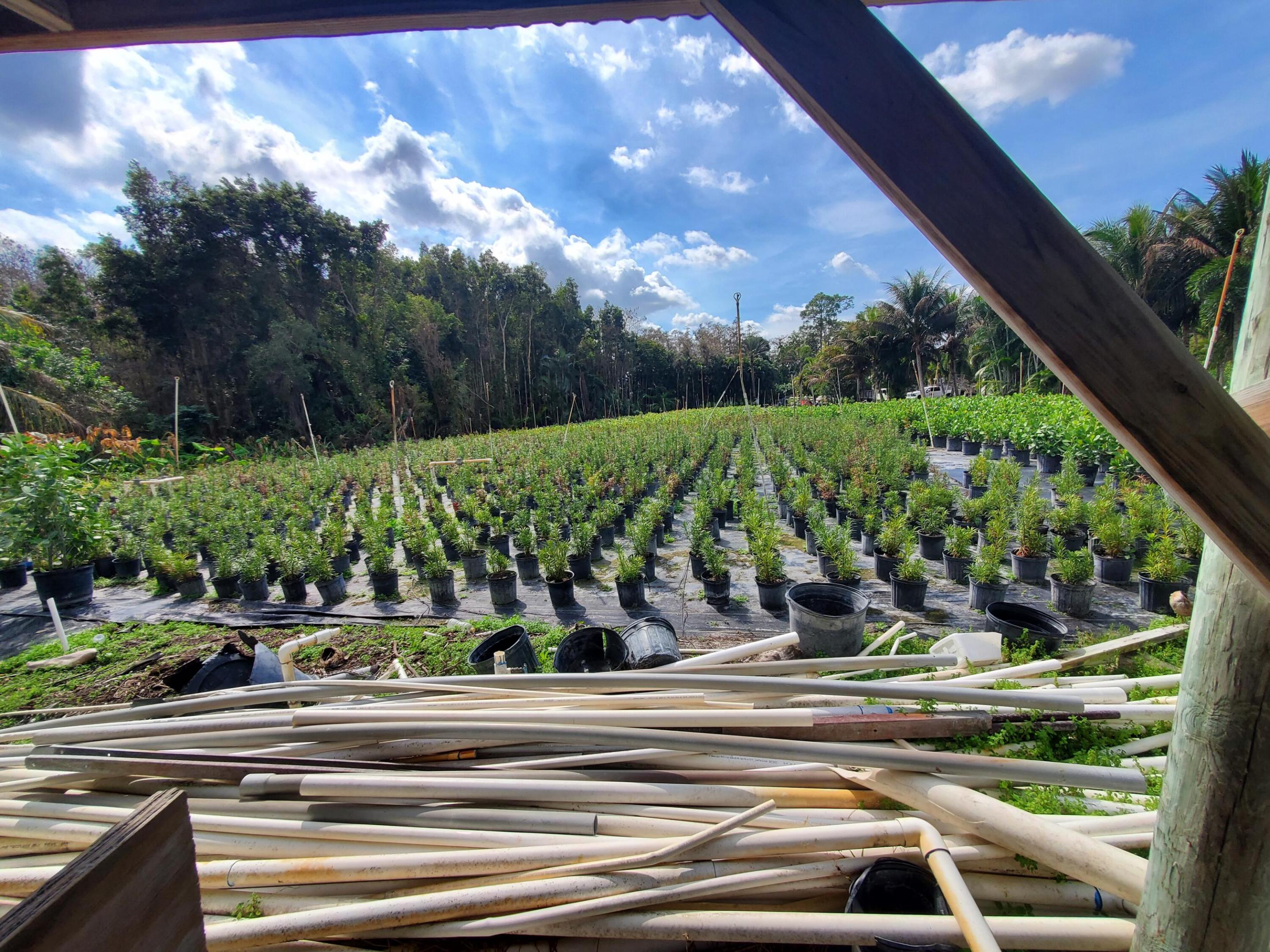 Heritage Farms - Land
