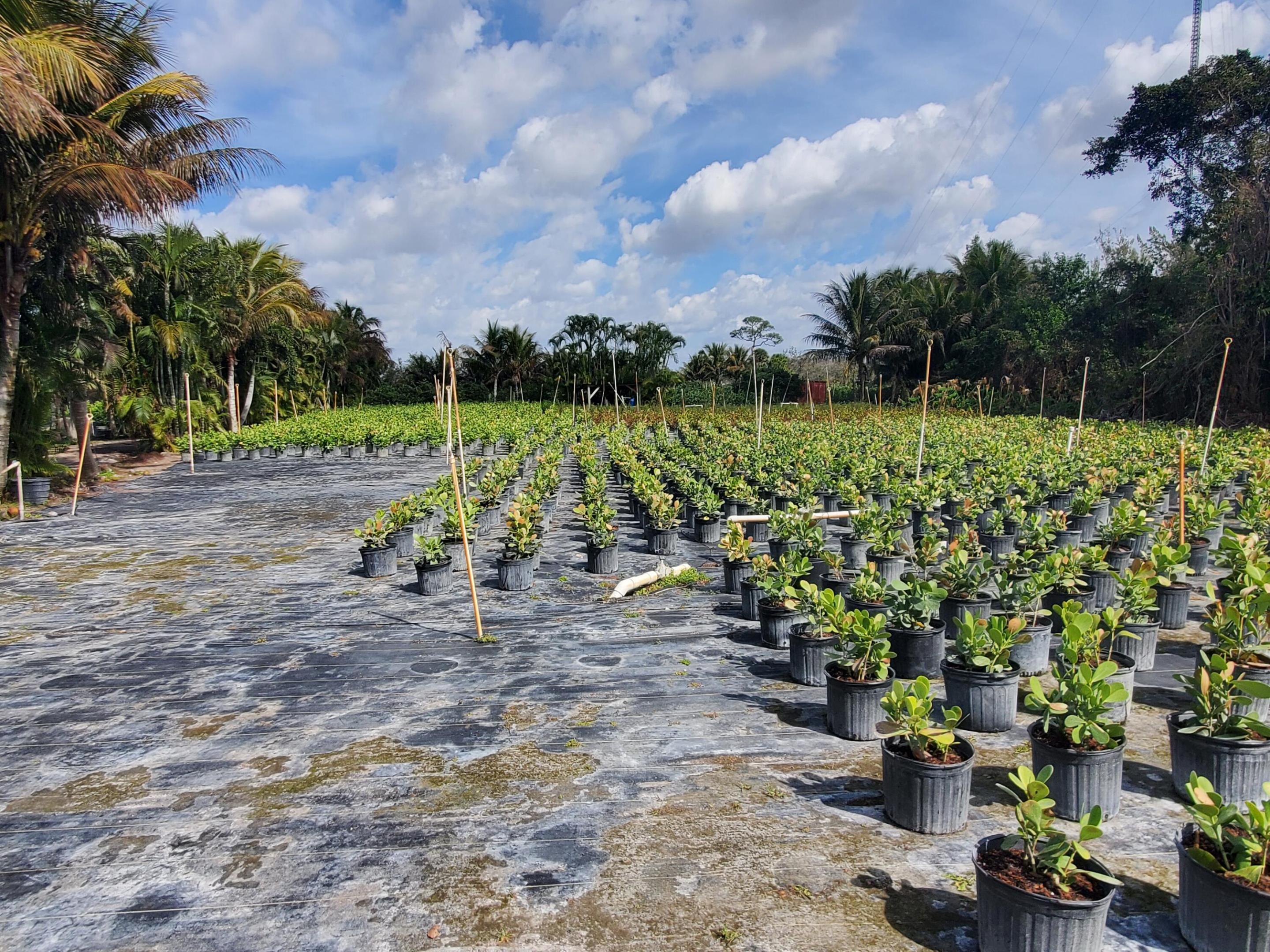 Heritage Farms - Land
