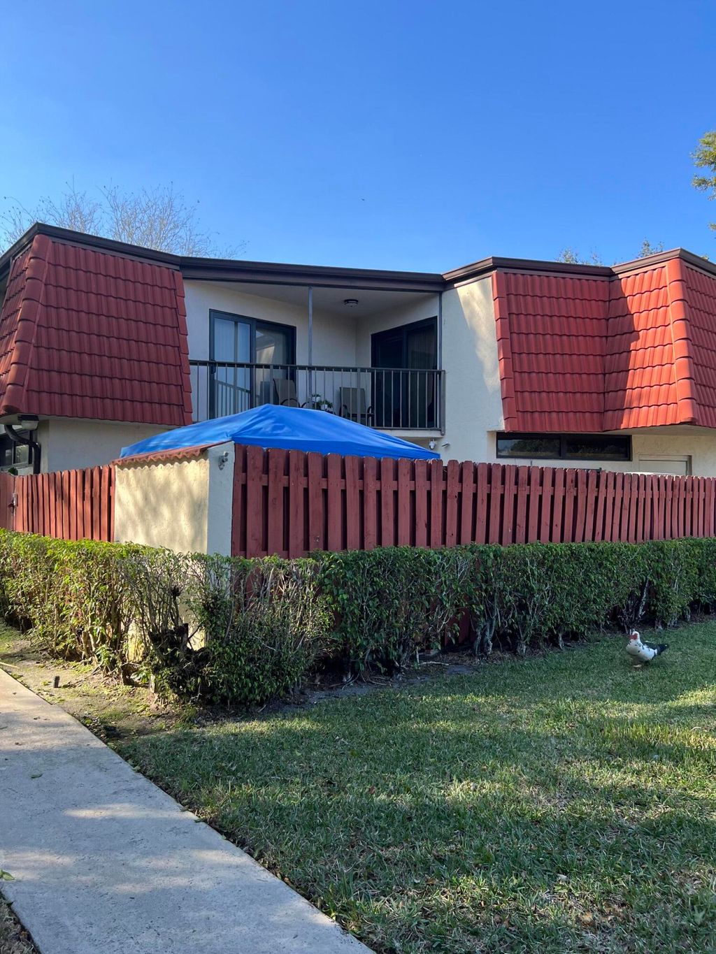 Photo of 3648 Victoria Drive, West Palm Beach, FL 33406 (MLS # B26032247)